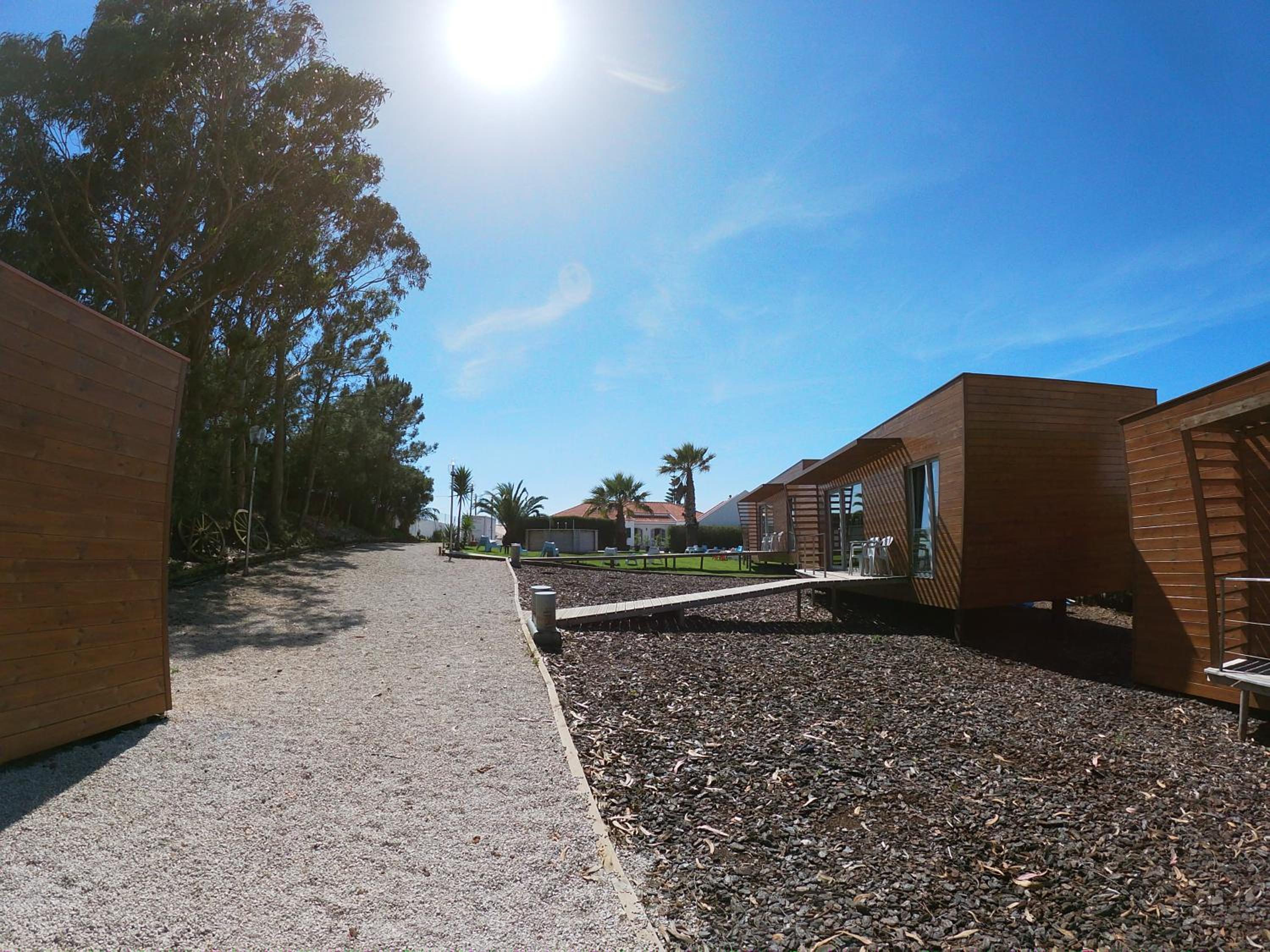 Golden Halcyon - Ericeira Villas