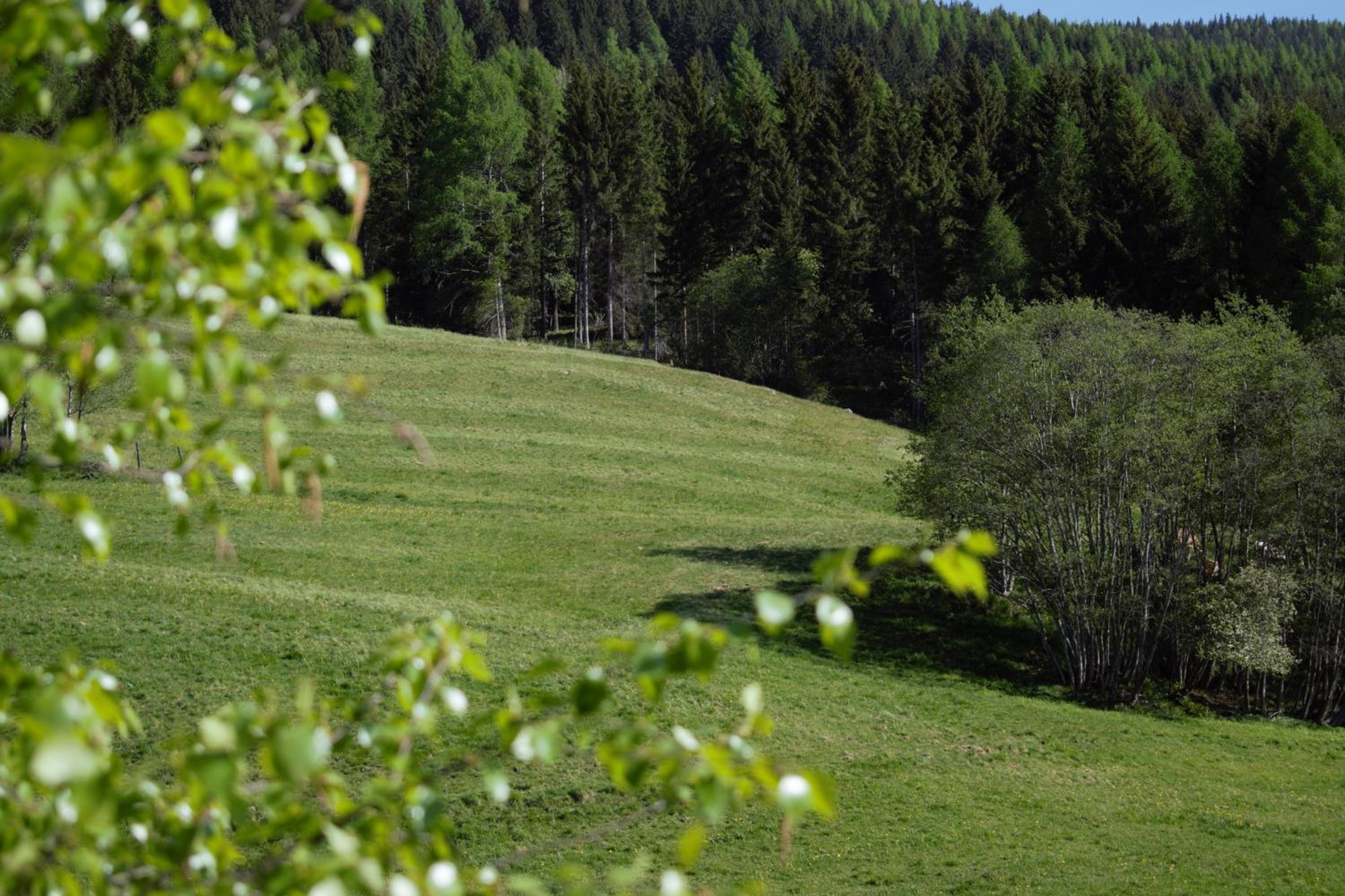 Landhaus Holzer