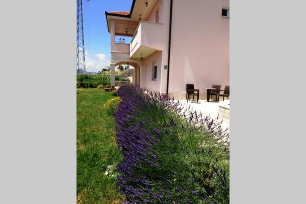 Sun garden apartment