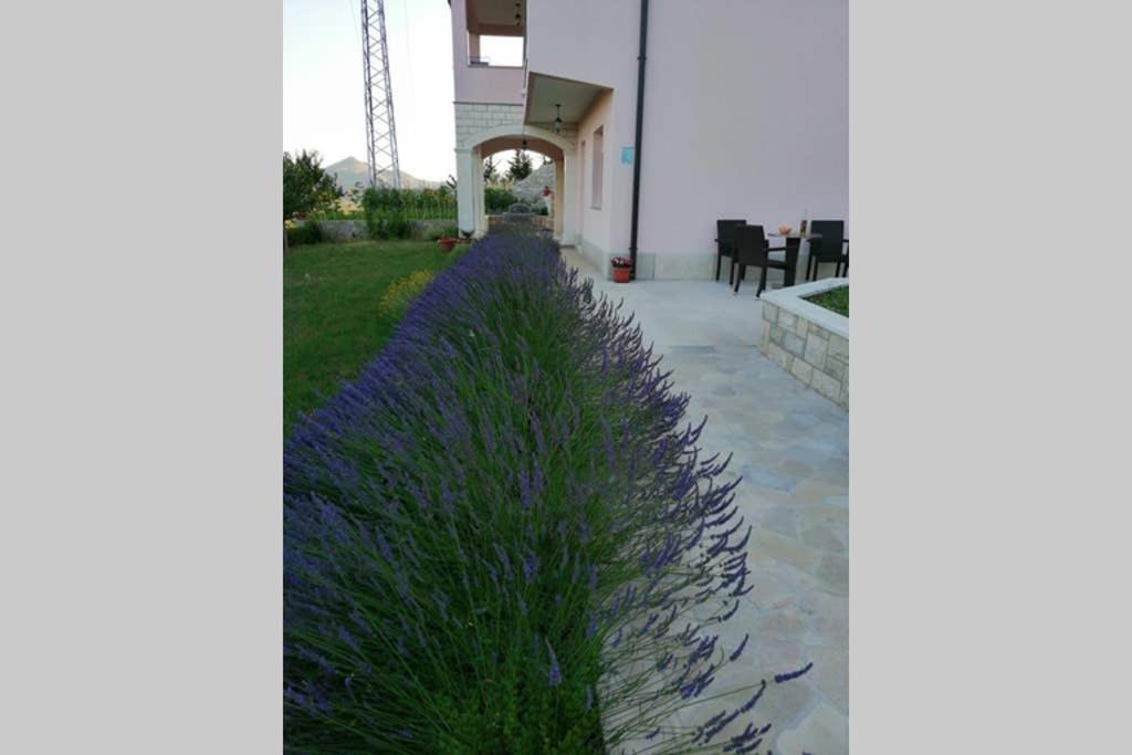 Sun garden apartment