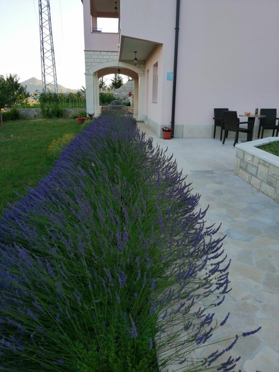 Sun garden apartment