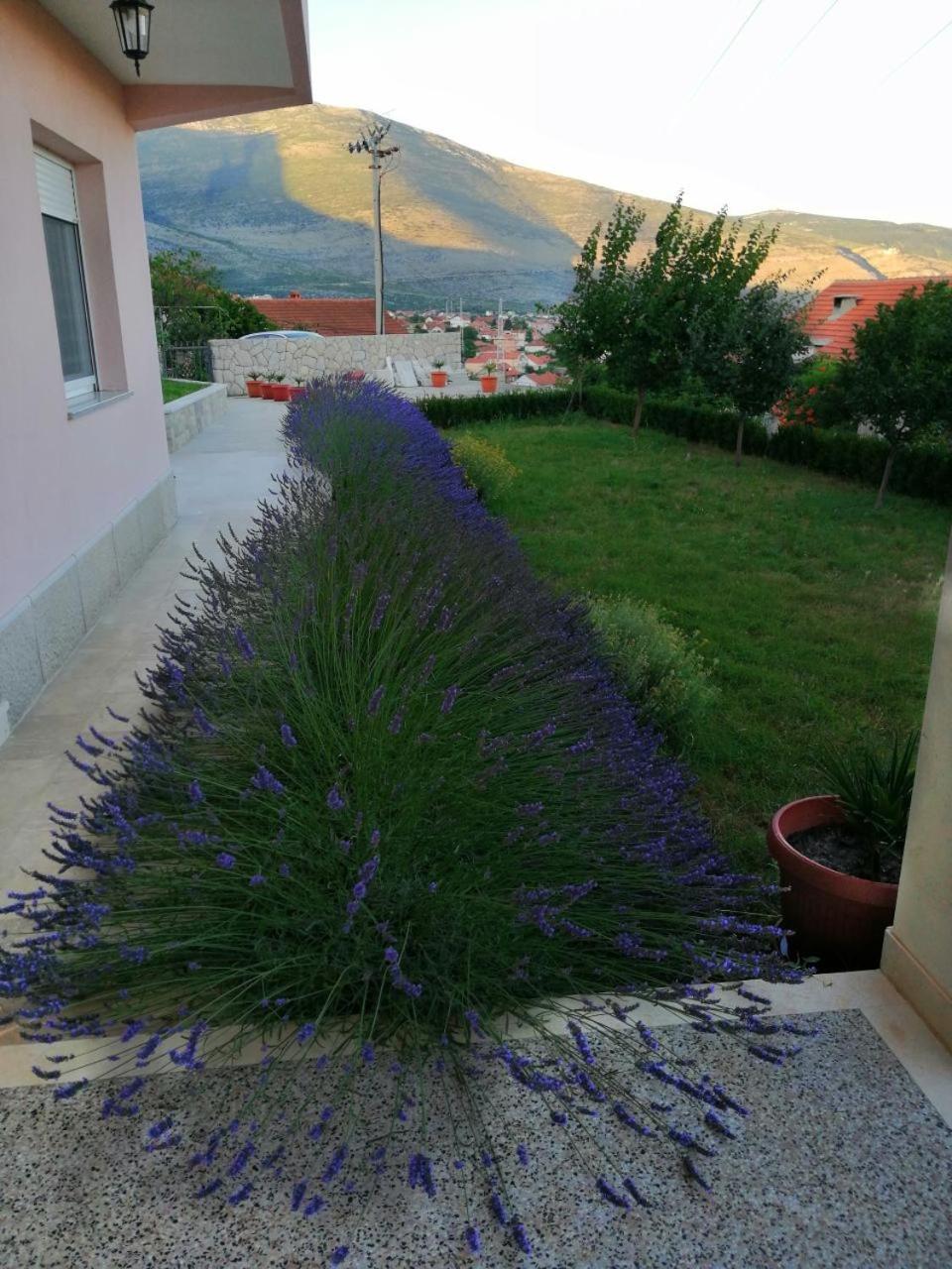 Sun garden apartment