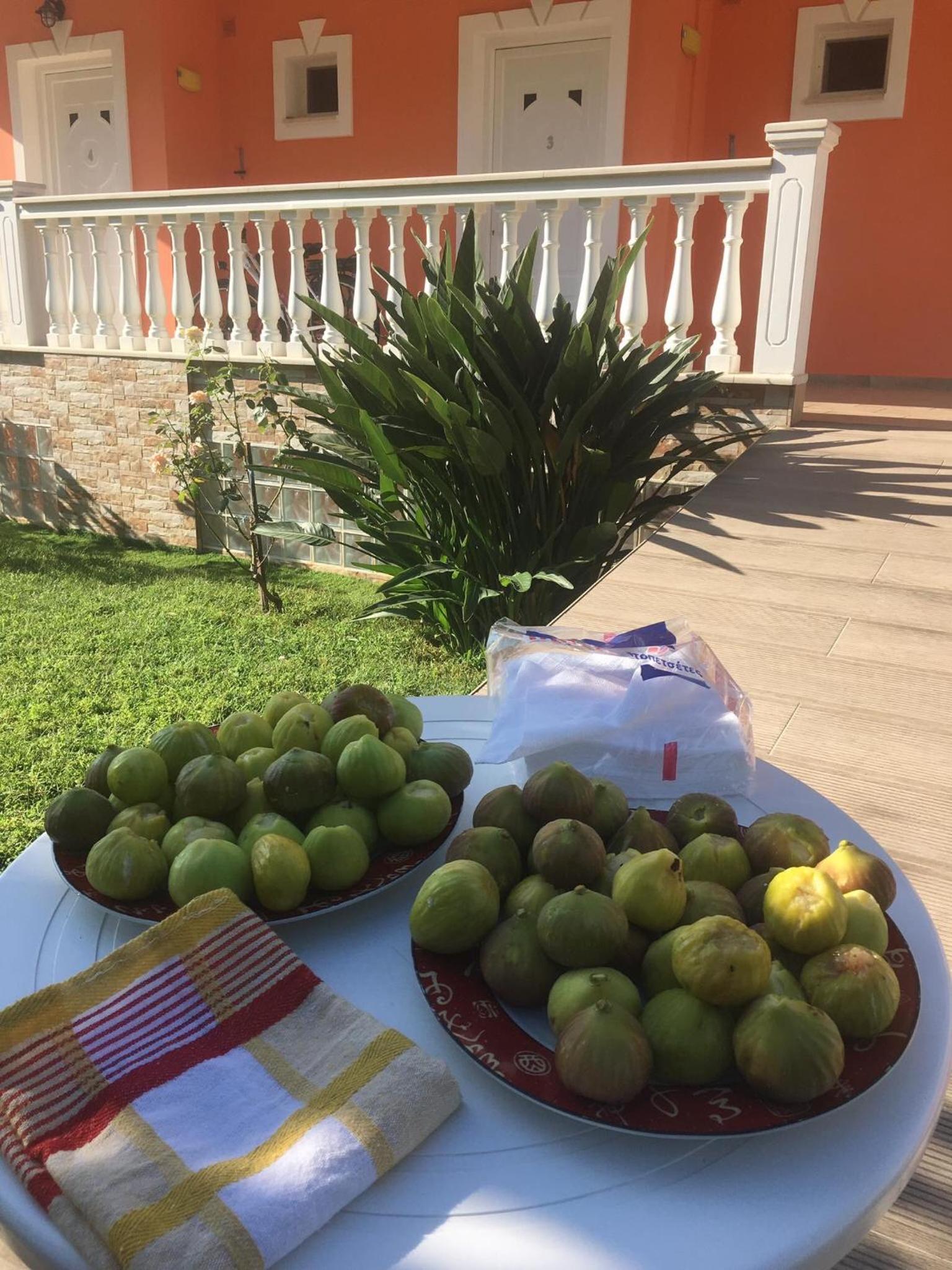 Photo 26