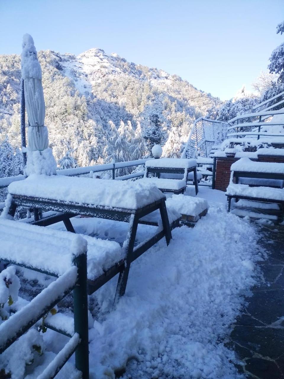 Mussoorie Vacations - Seegreen Lodges - Property Image 6