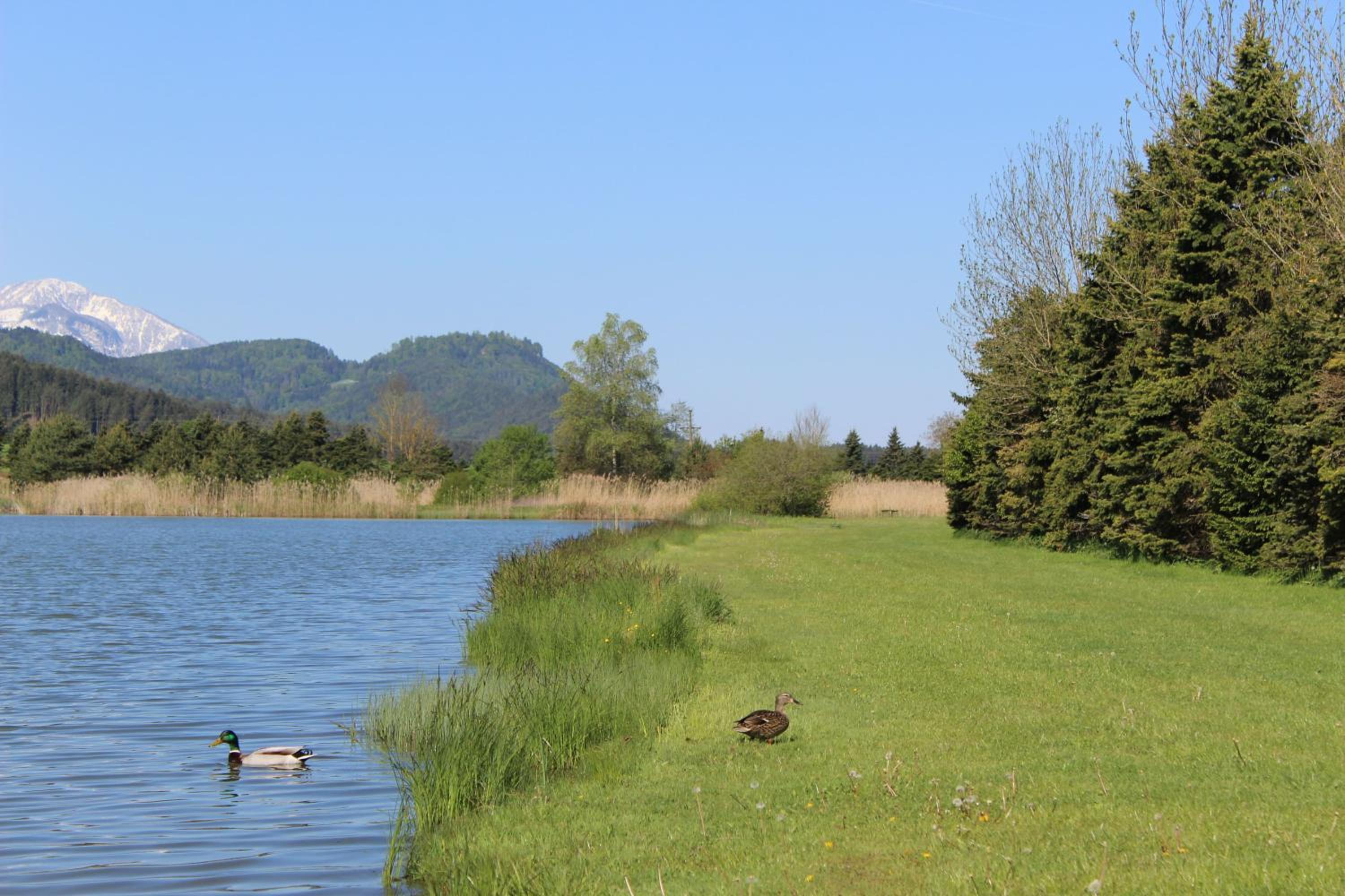 Photo 26
