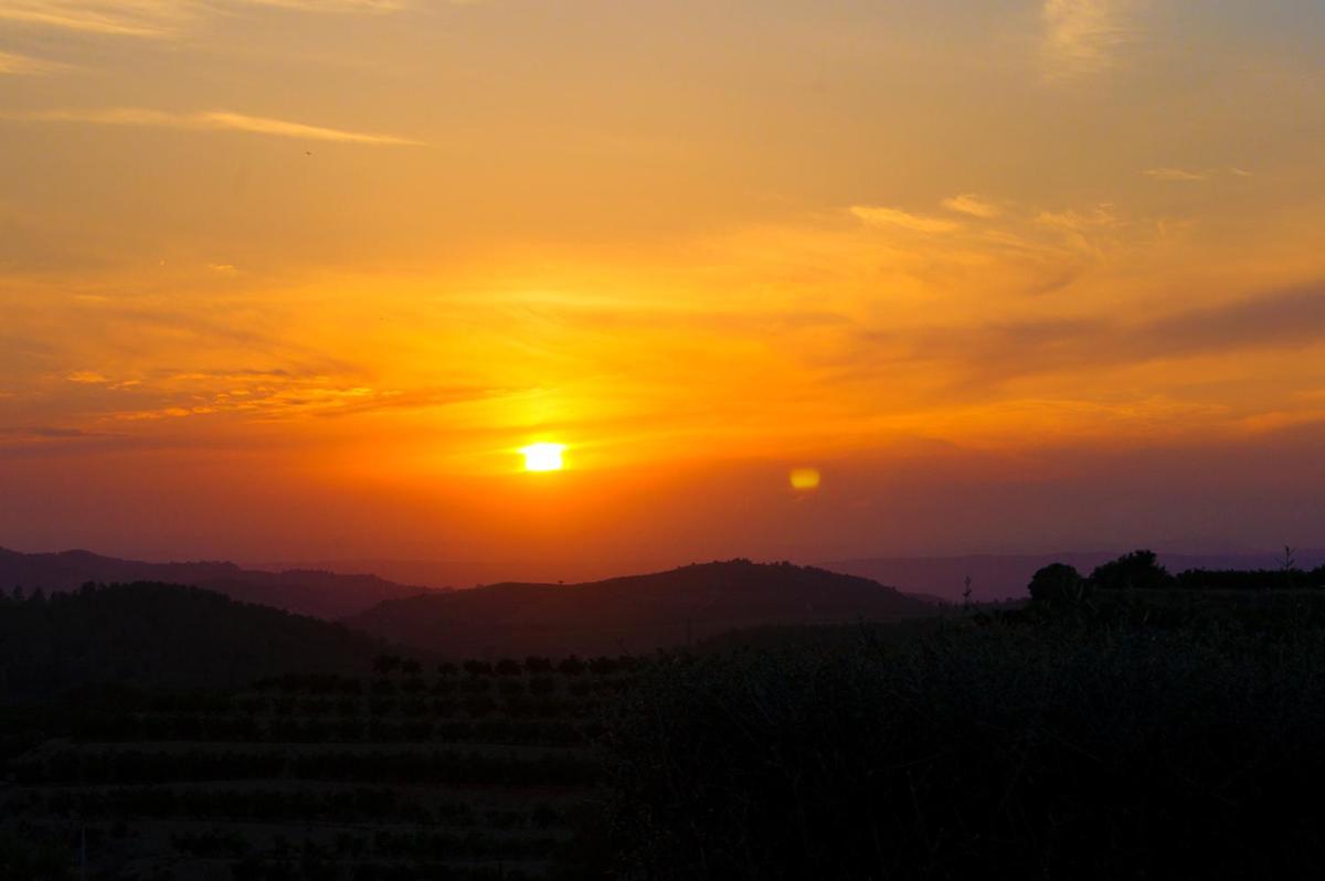 Finca Abogat view 4