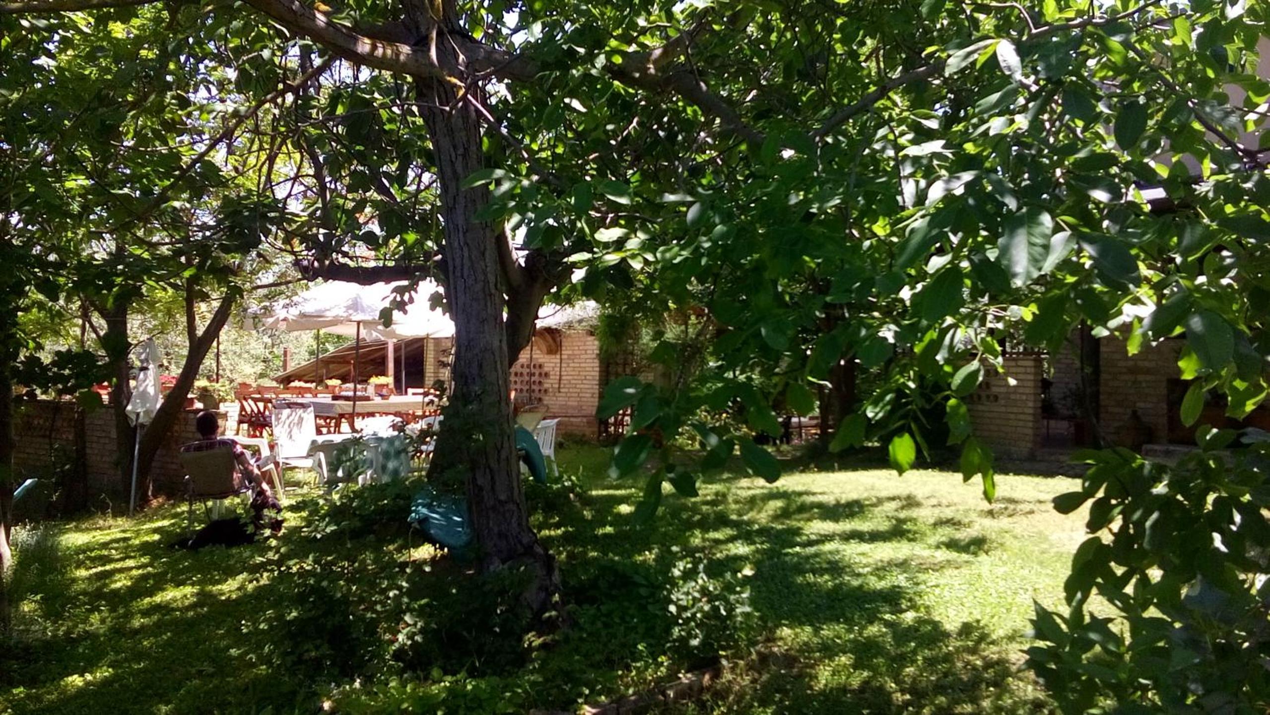 Agriturismo Via del Campo photo 3