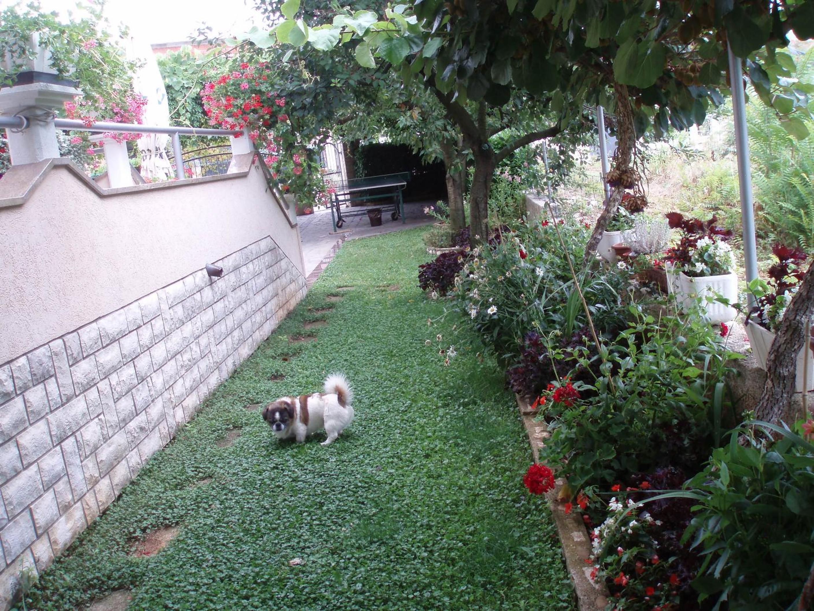 Haus Milan AP3 view 4