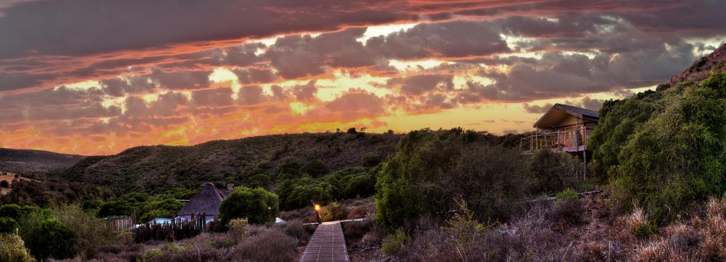 HillsNek Safari Camp – Amakhala Game Reserve view 5