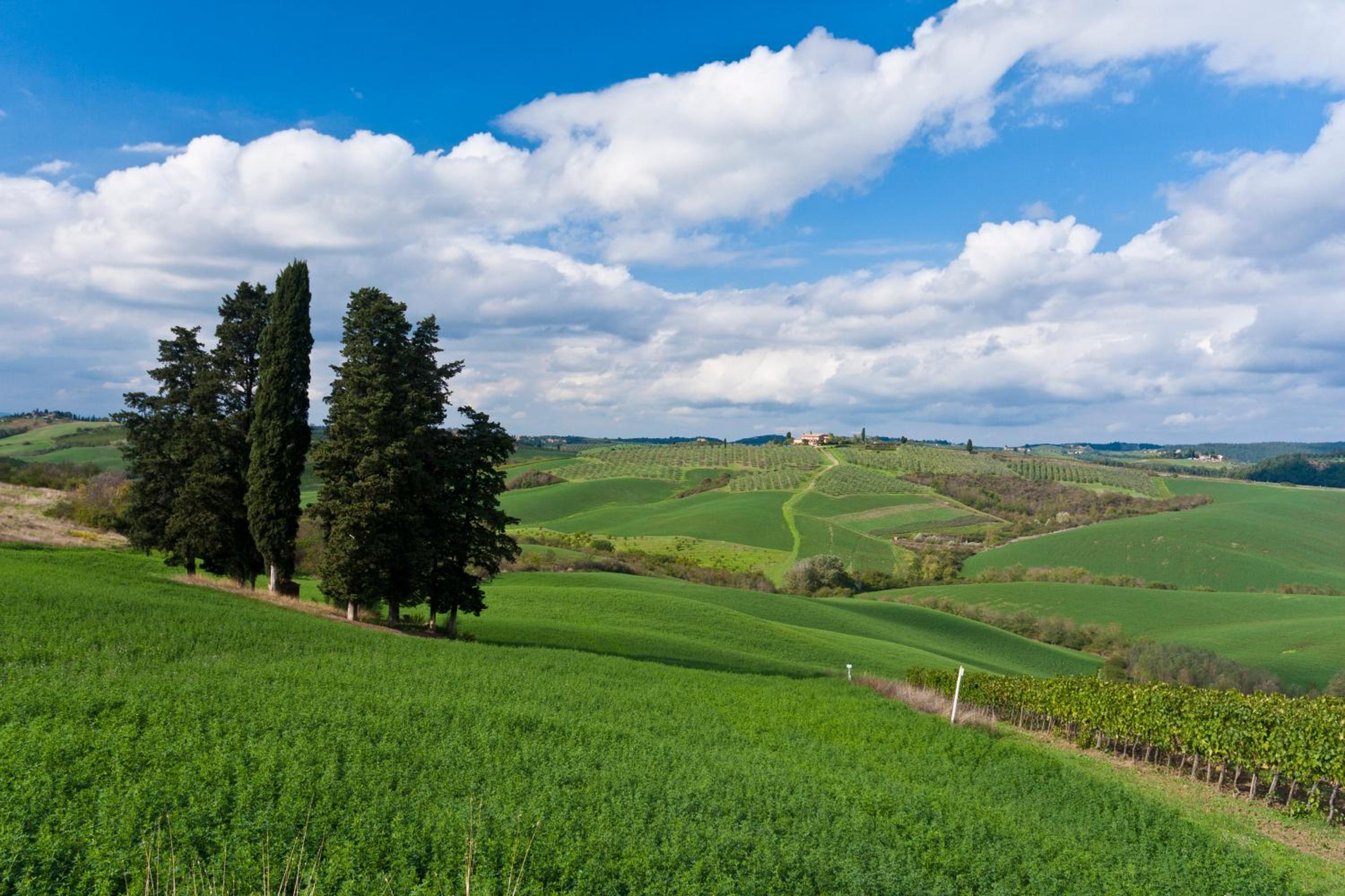 Agriturismo Casale Dello Sparviero