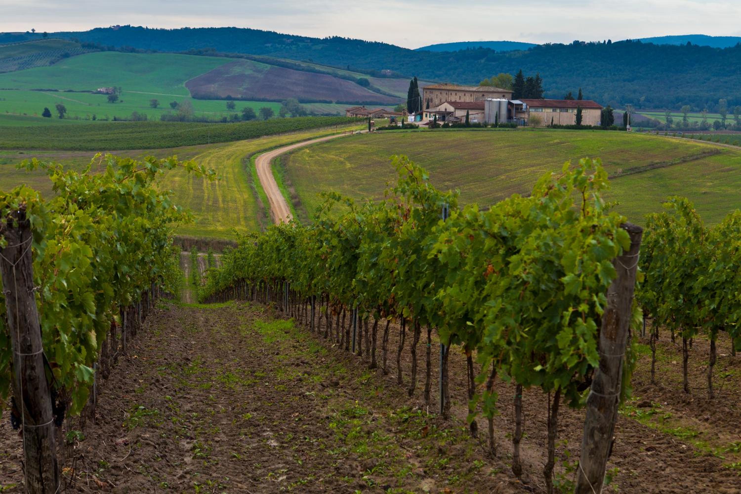 Agriturismo Casale Dello Sparviero