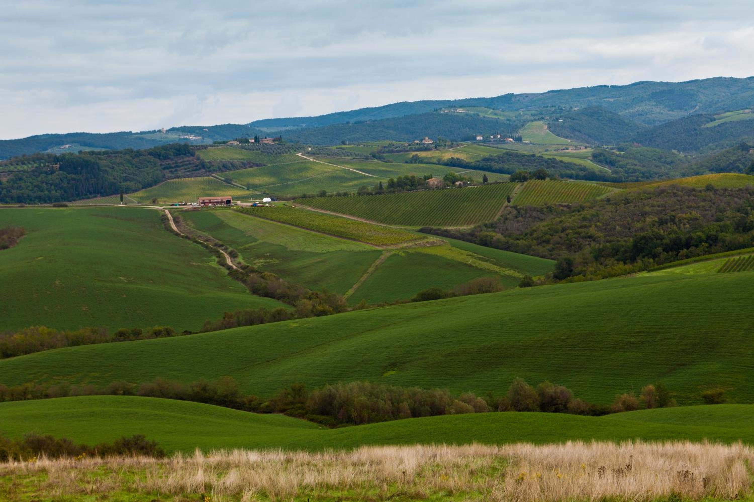 Agriturismo Casale Dello Sparviero