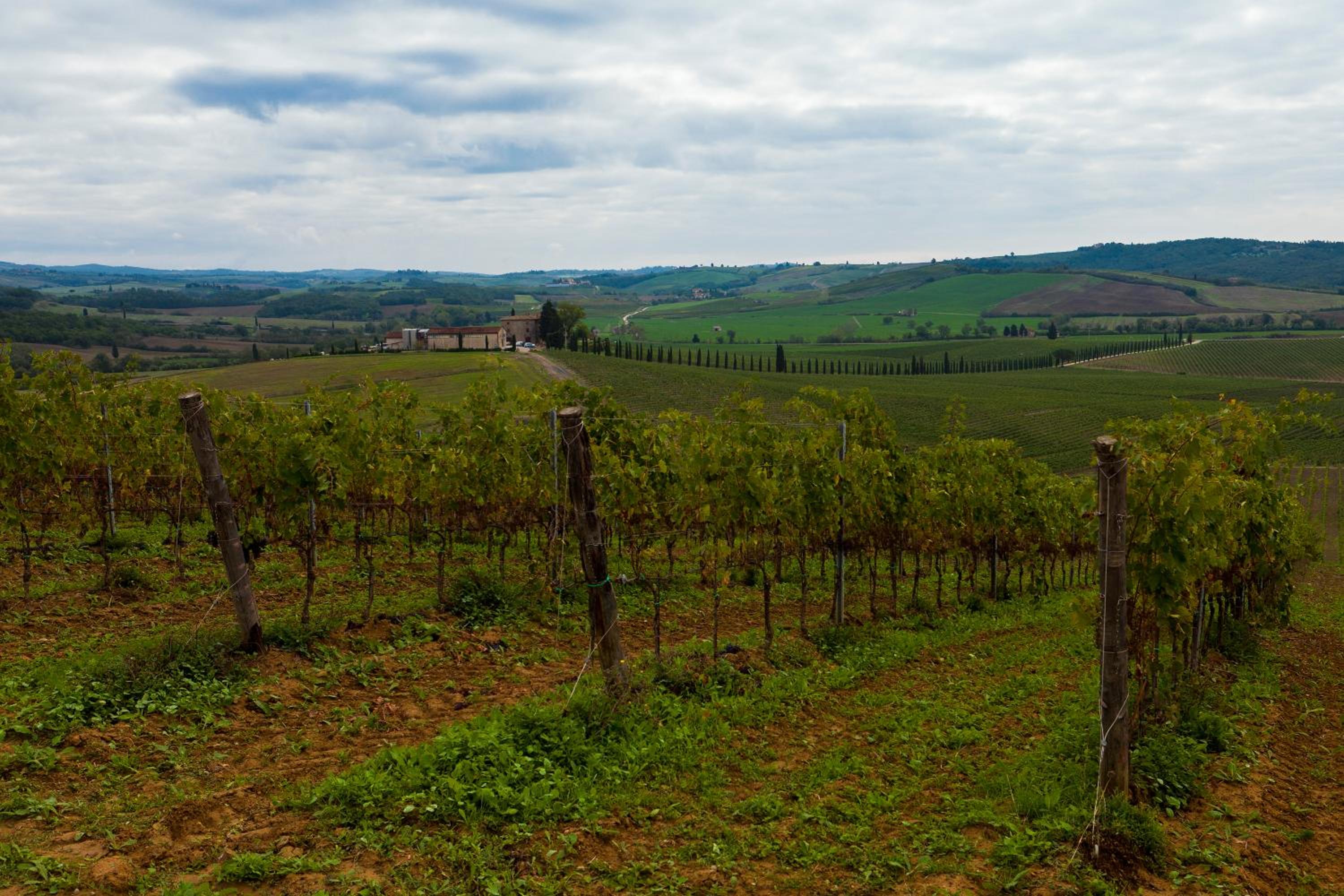 Agriturismo Casale Dello Sparviero