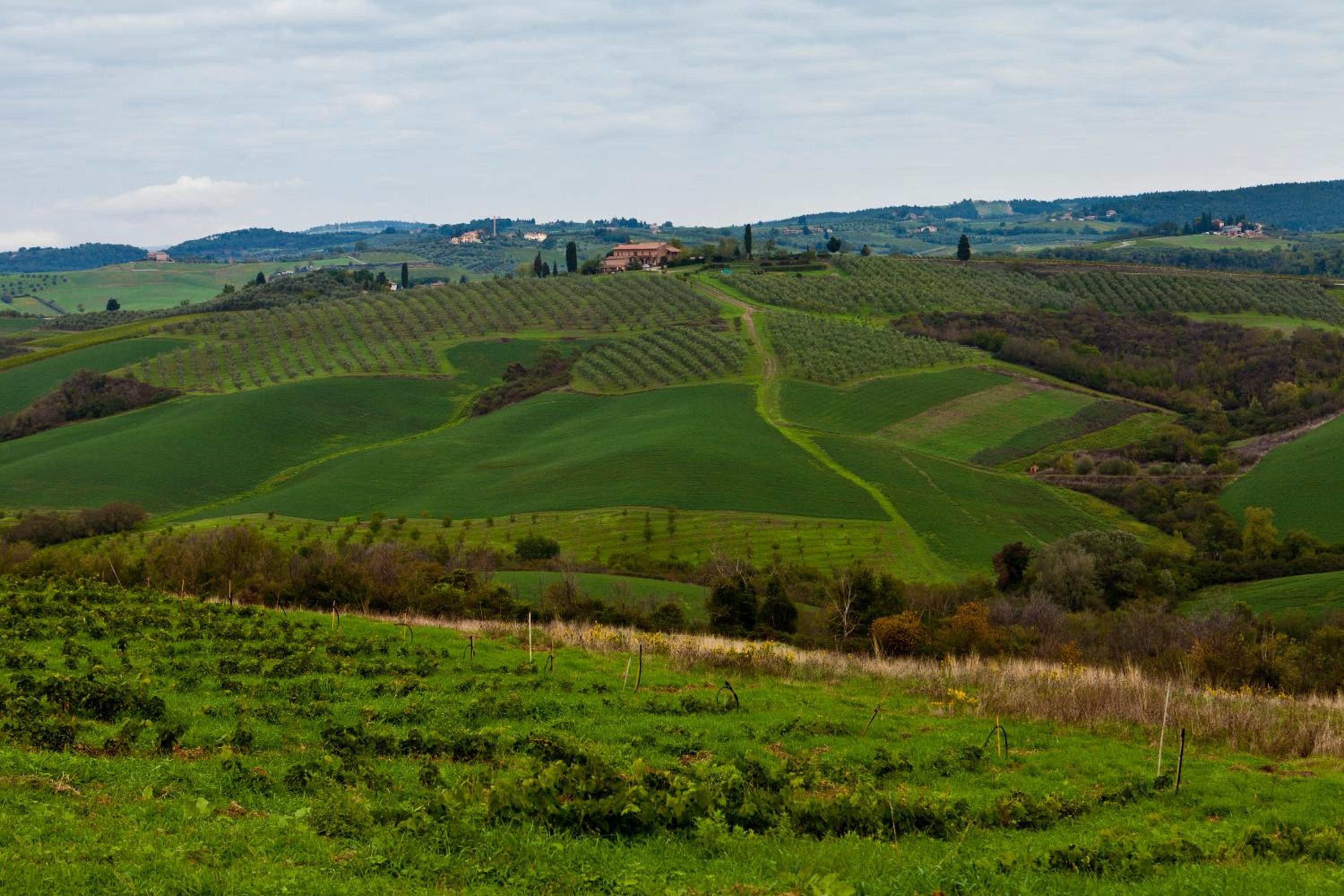 Agriturismo Casale Dello Sparviero