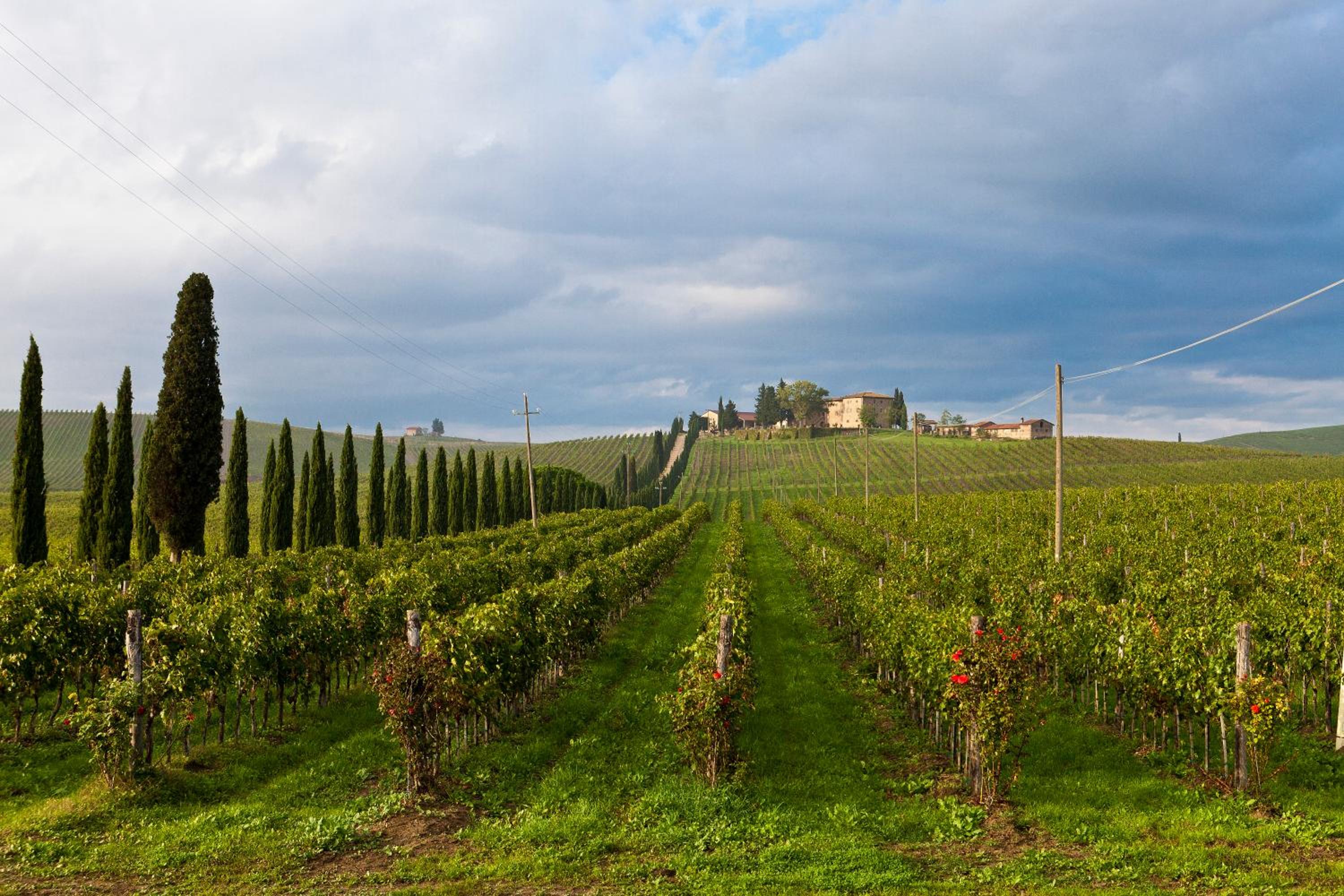 Agriturismo Casale Dello Sparviero