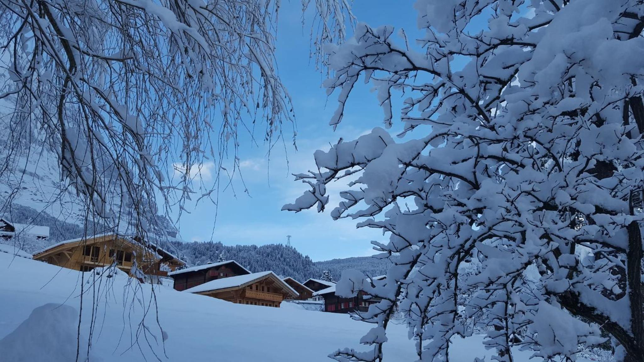 Chalet Wärgistal