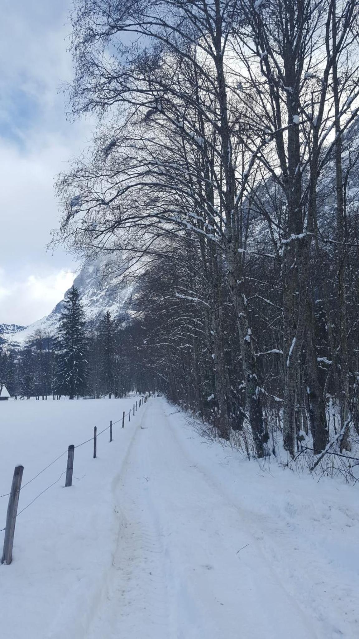 Chalet Wärgistal