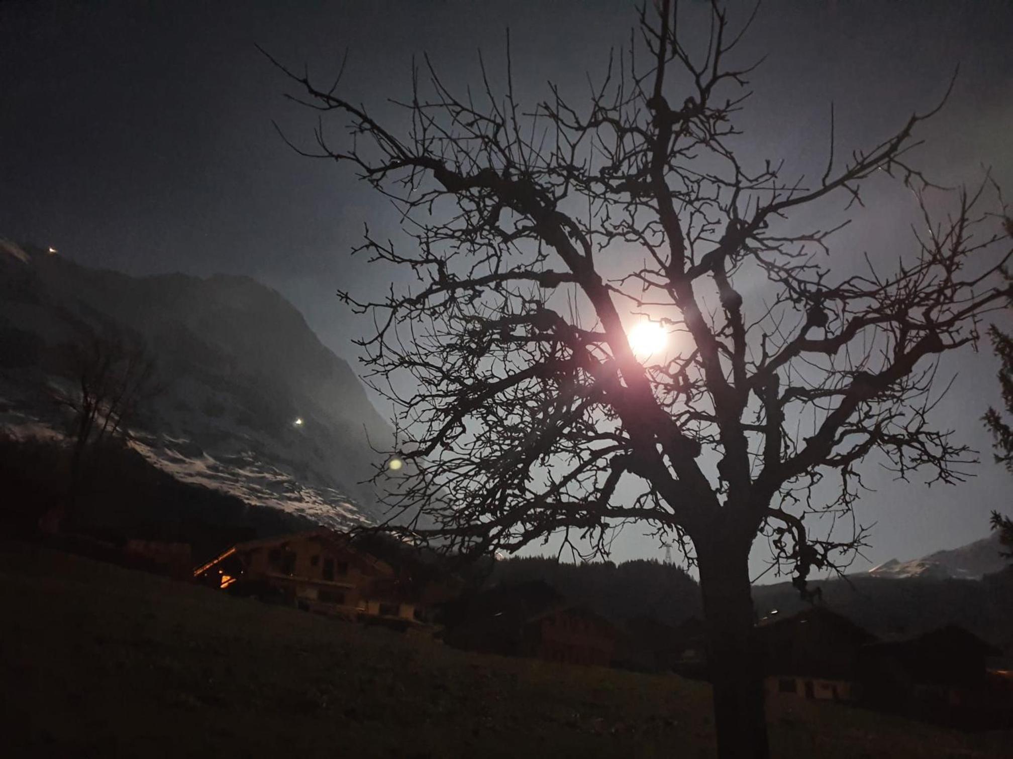 Chalet Wärgistal