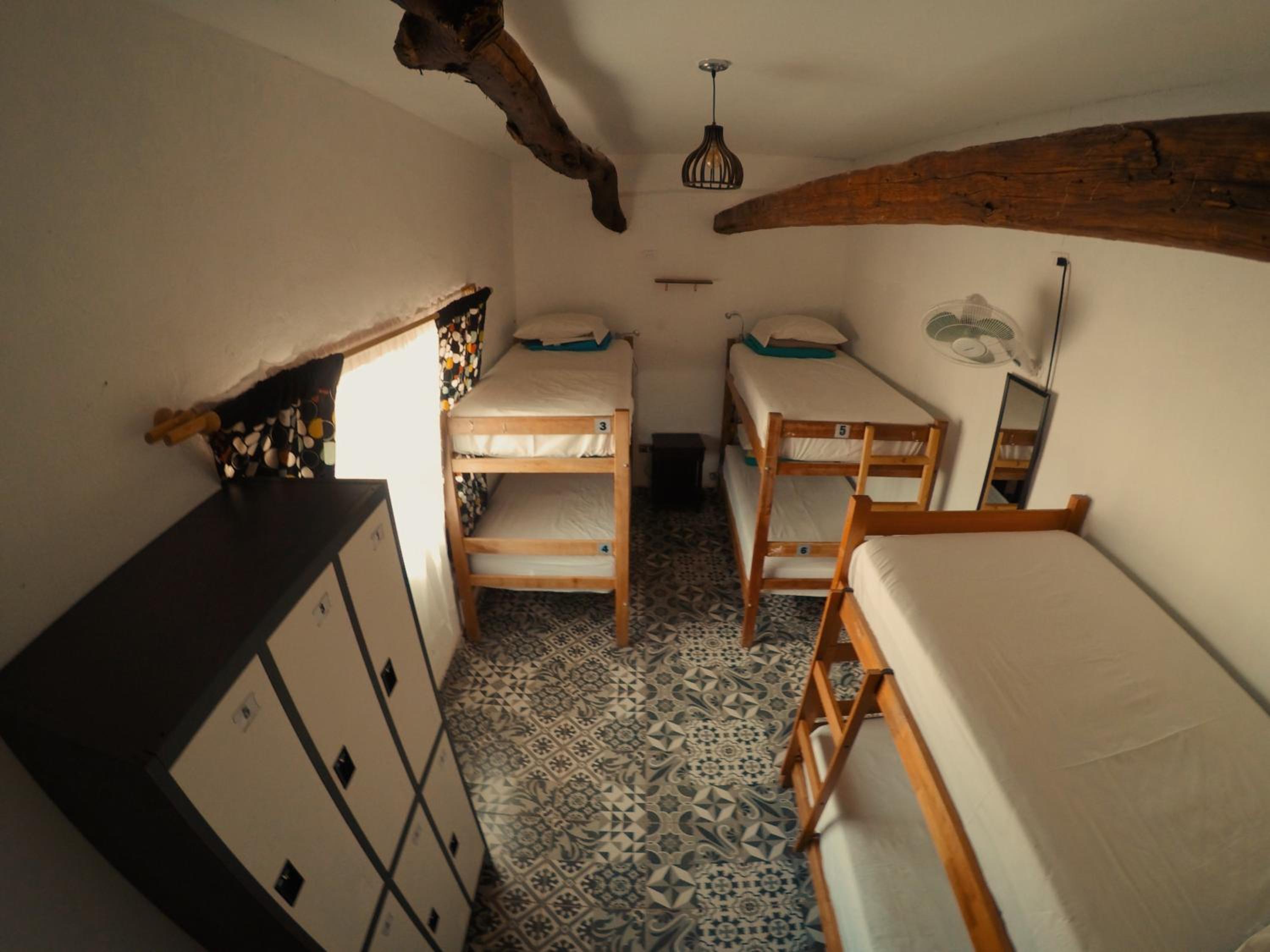 Rey Lagarto Hostel