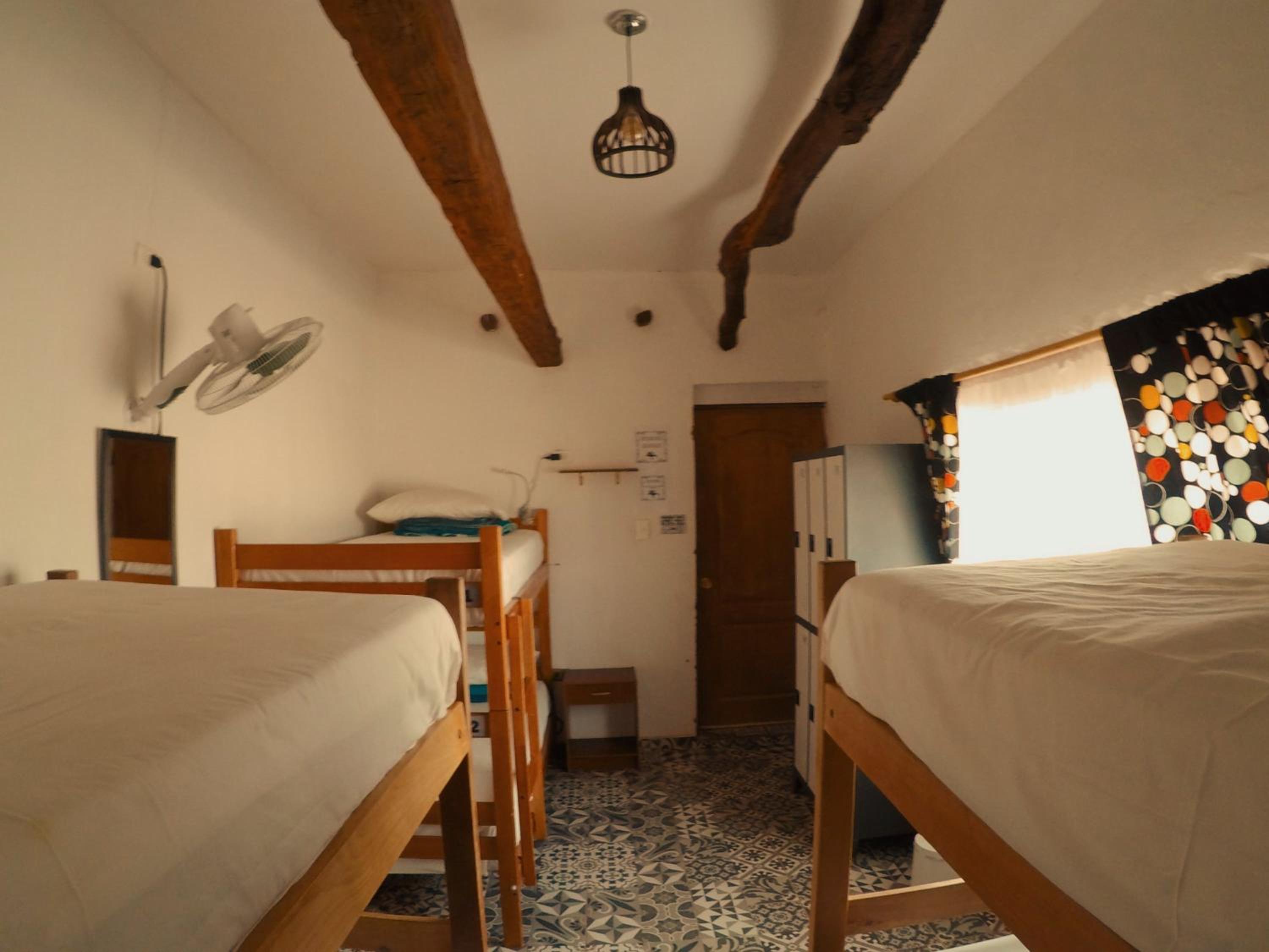 Rey Lagarto Hostel