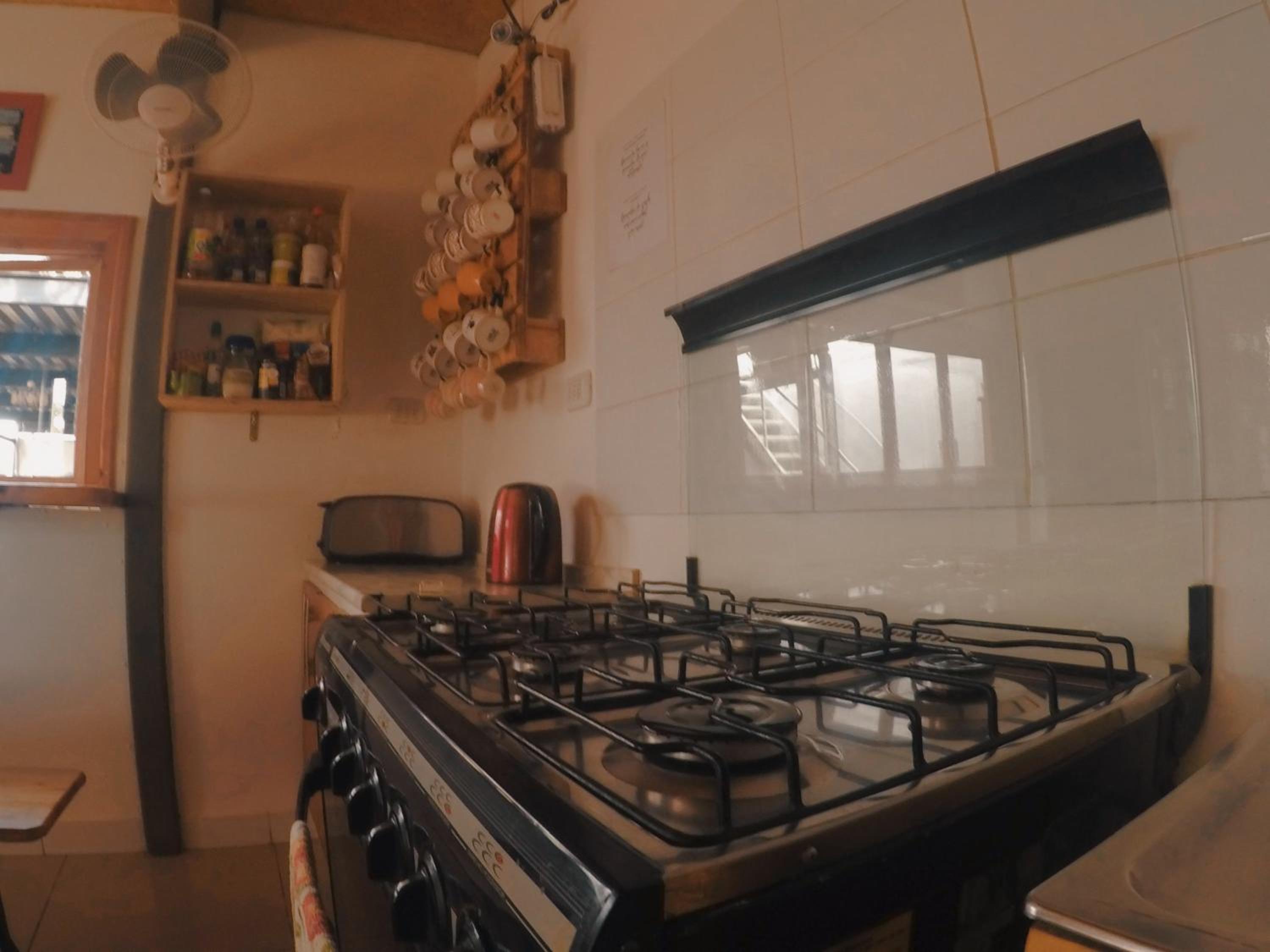 Rey Lagarto Hostel
