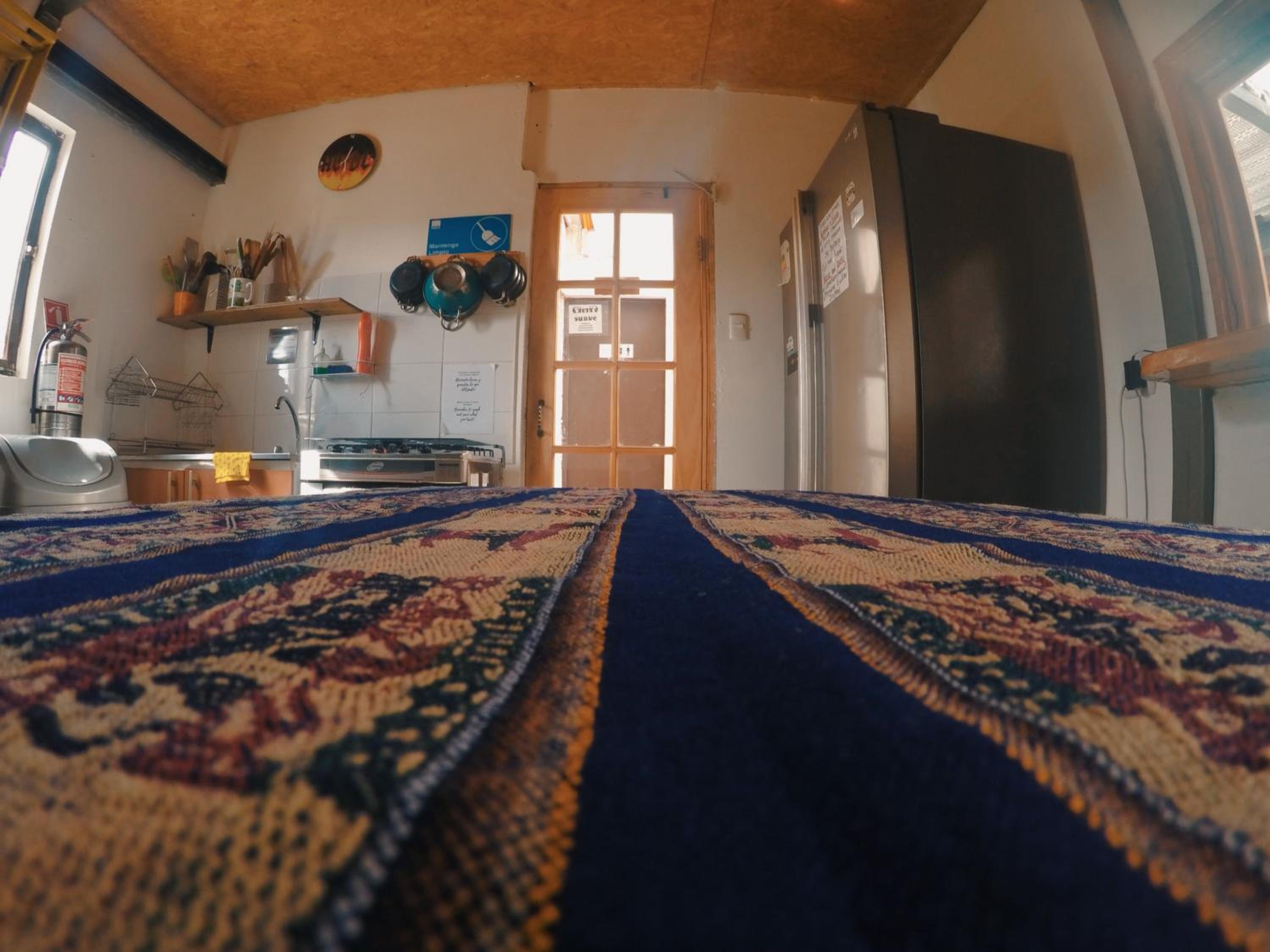 Rey Lagarto Hostel