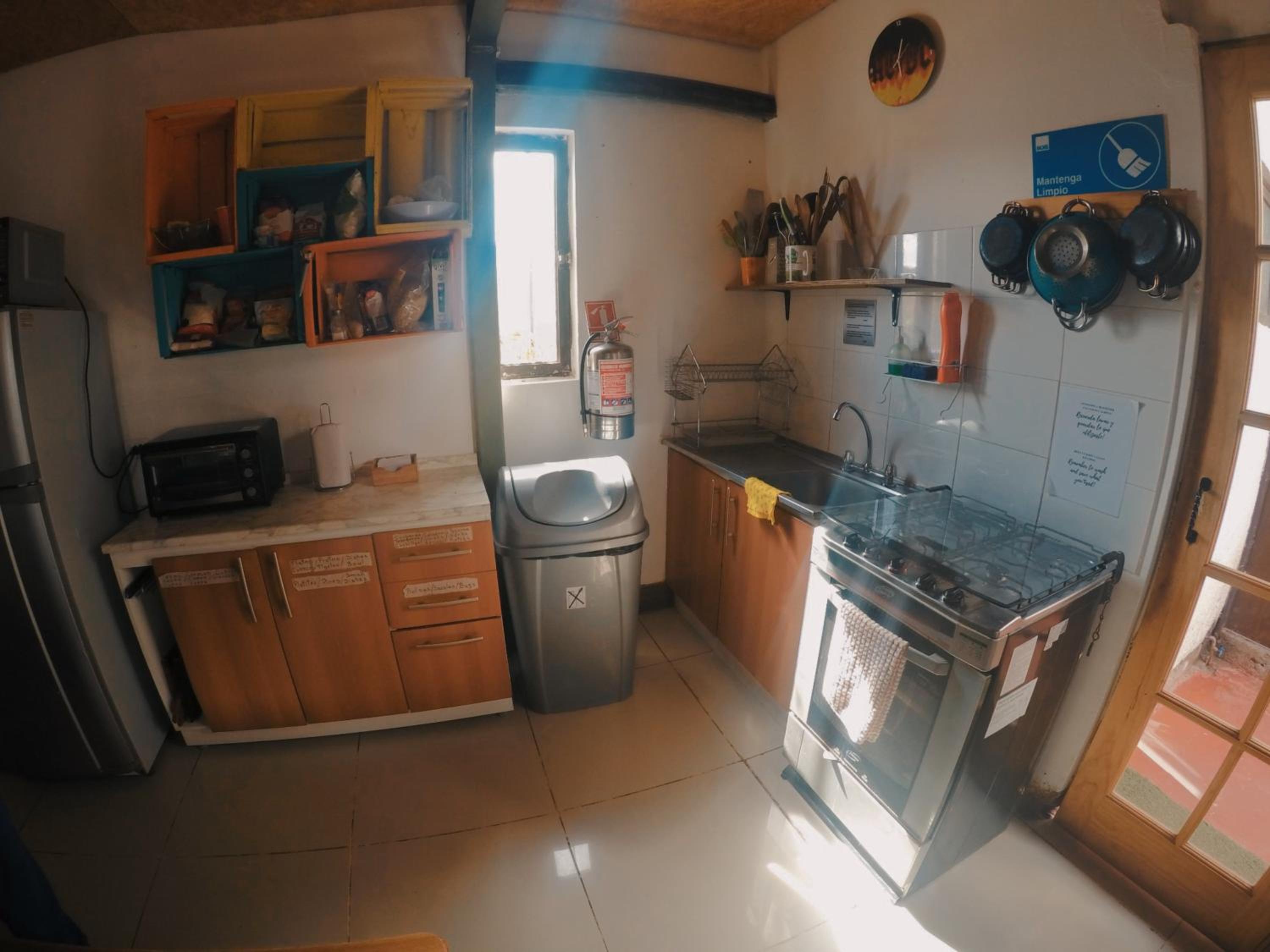 Rey Lagarto Hostel