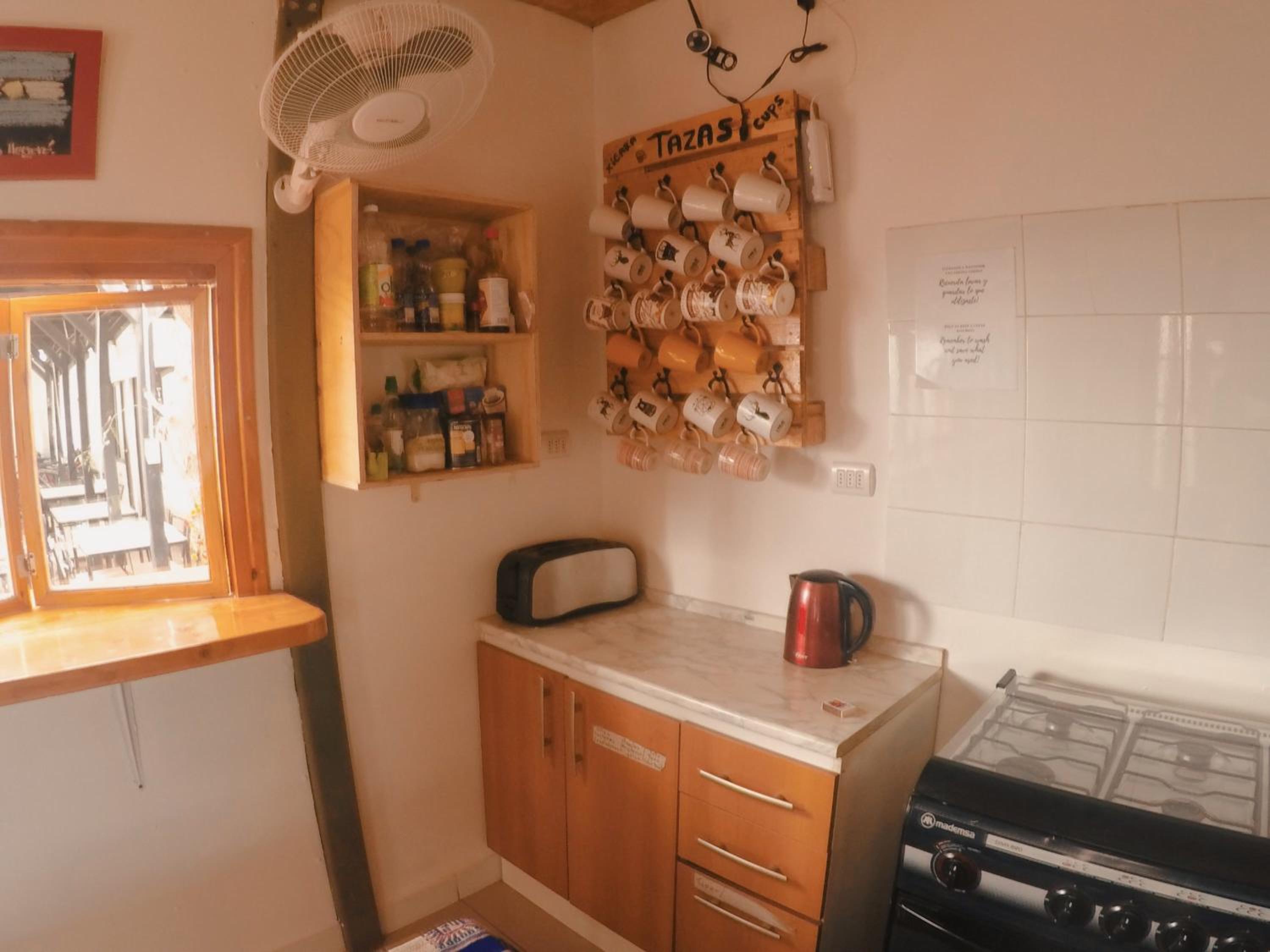 Rey Lagarto Hostel