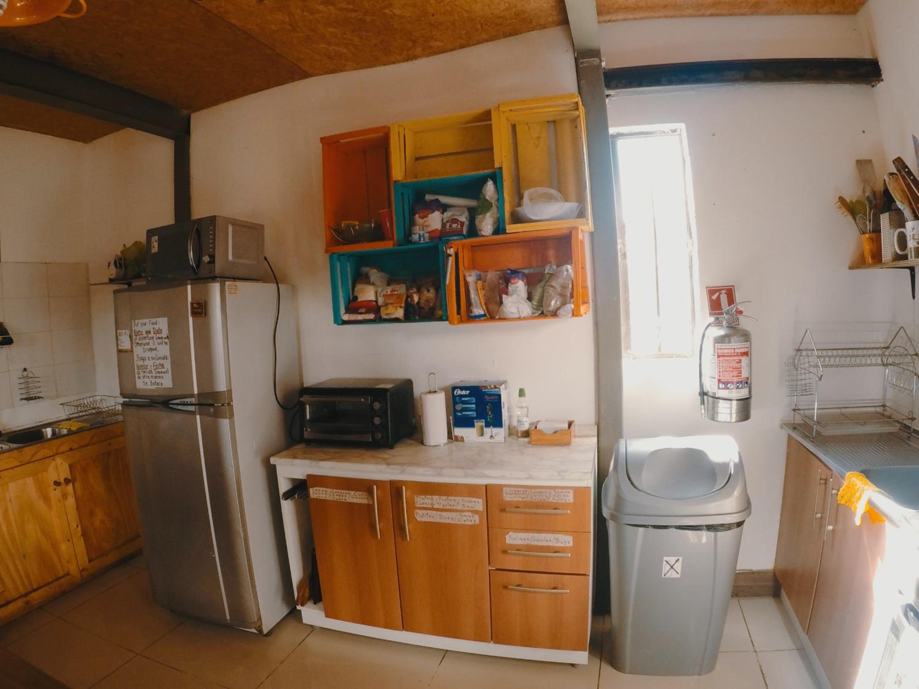 Rey Lagarto Hostel
