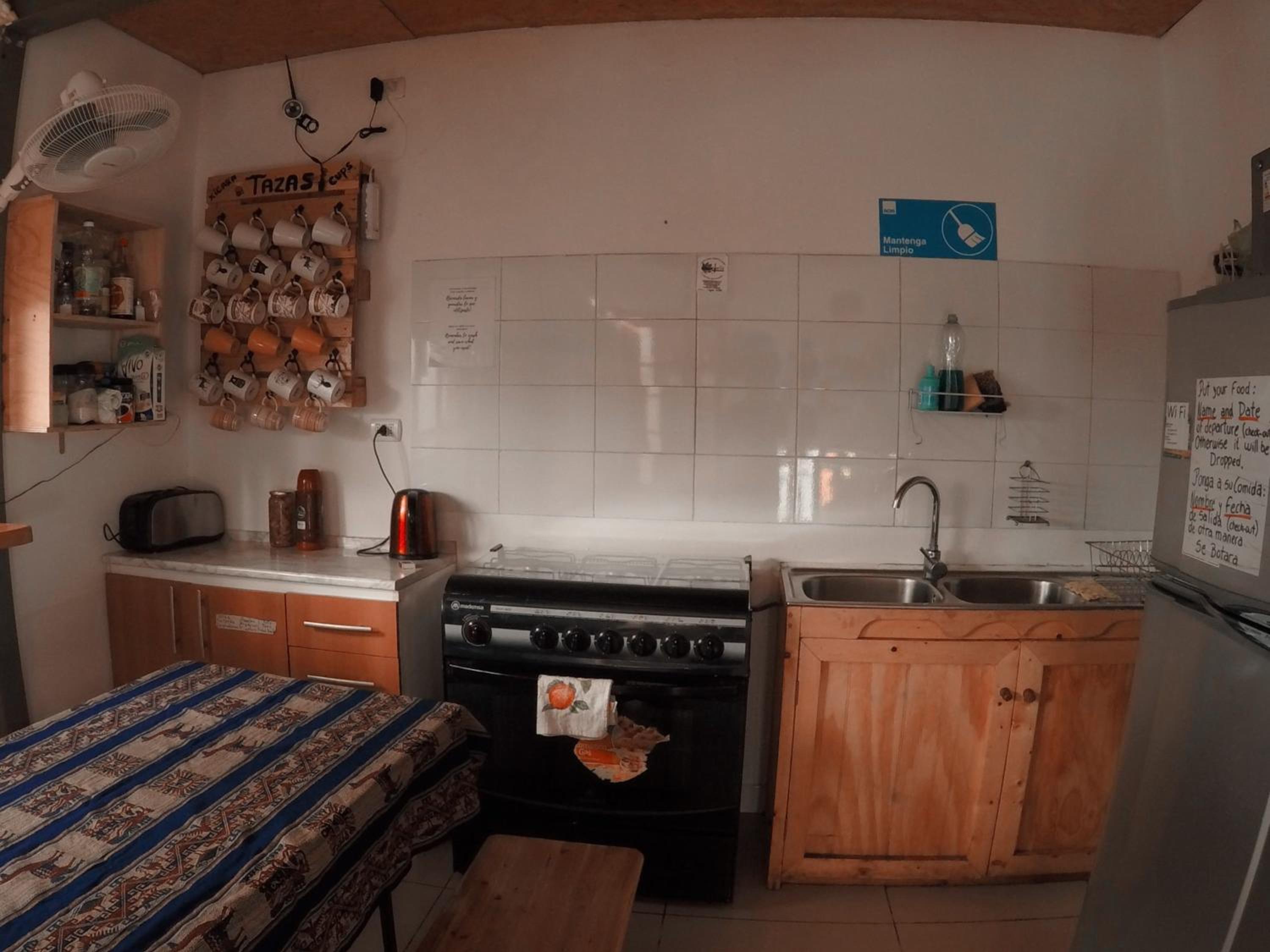 Rey Lagarto Hostel