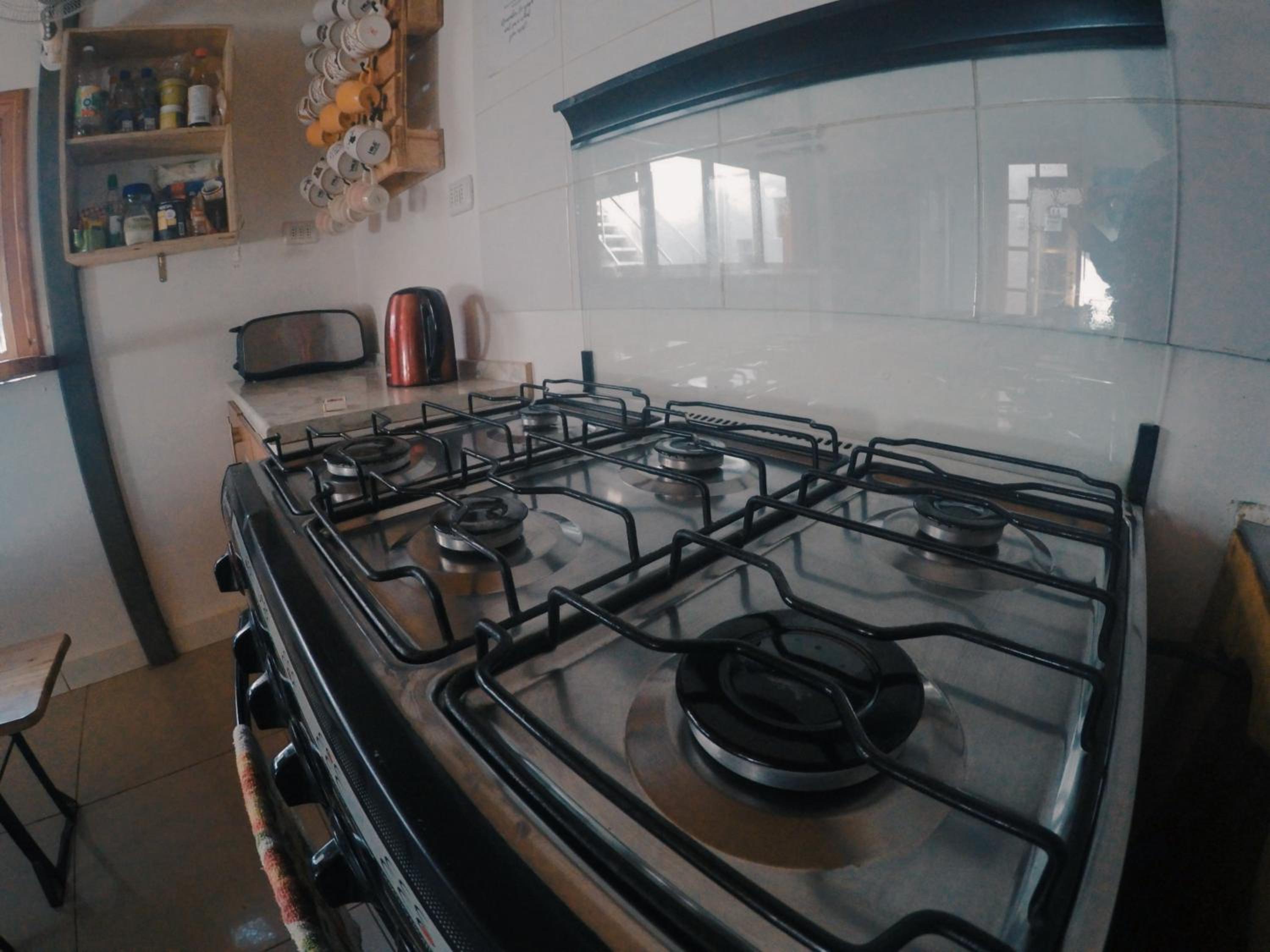 Rey Lagarto Hostel