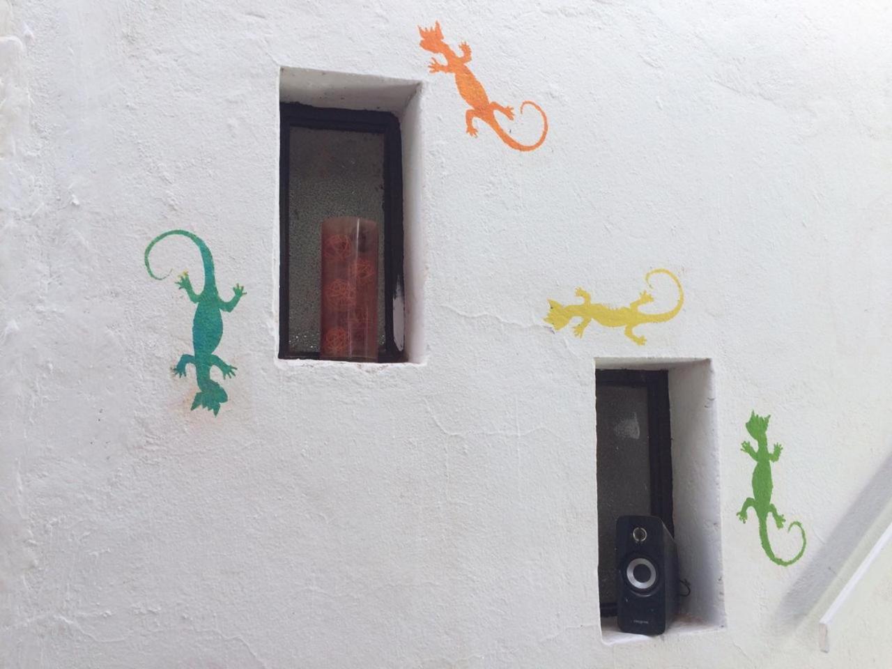 Rey Lagarto Hostel