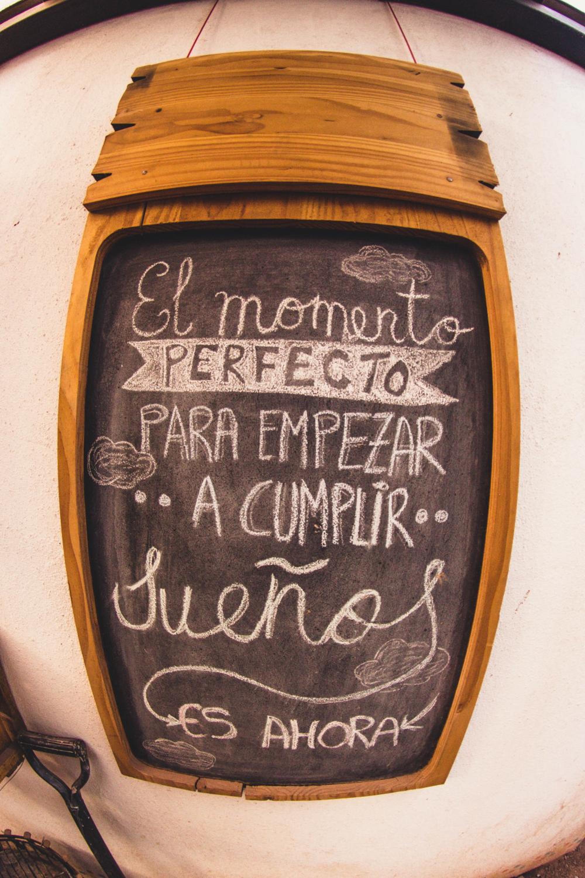 Rey Lagarto Hostel