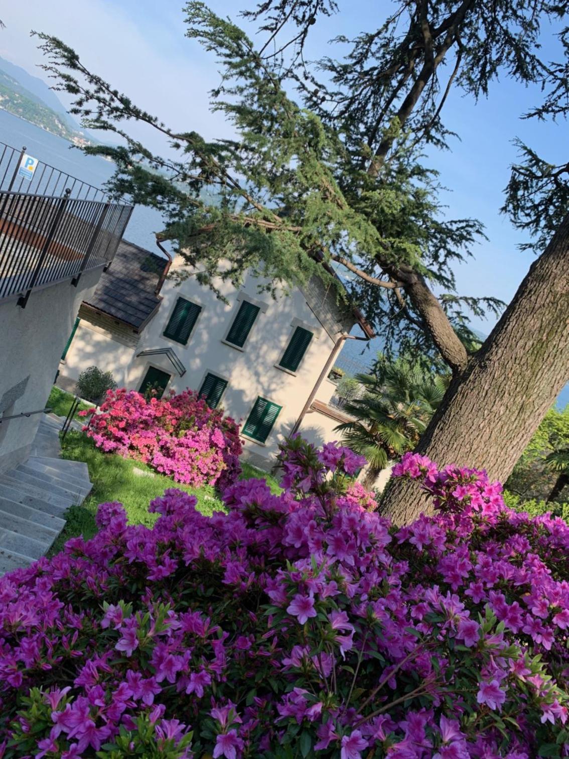 Giardini MAGNOLIA view 2
