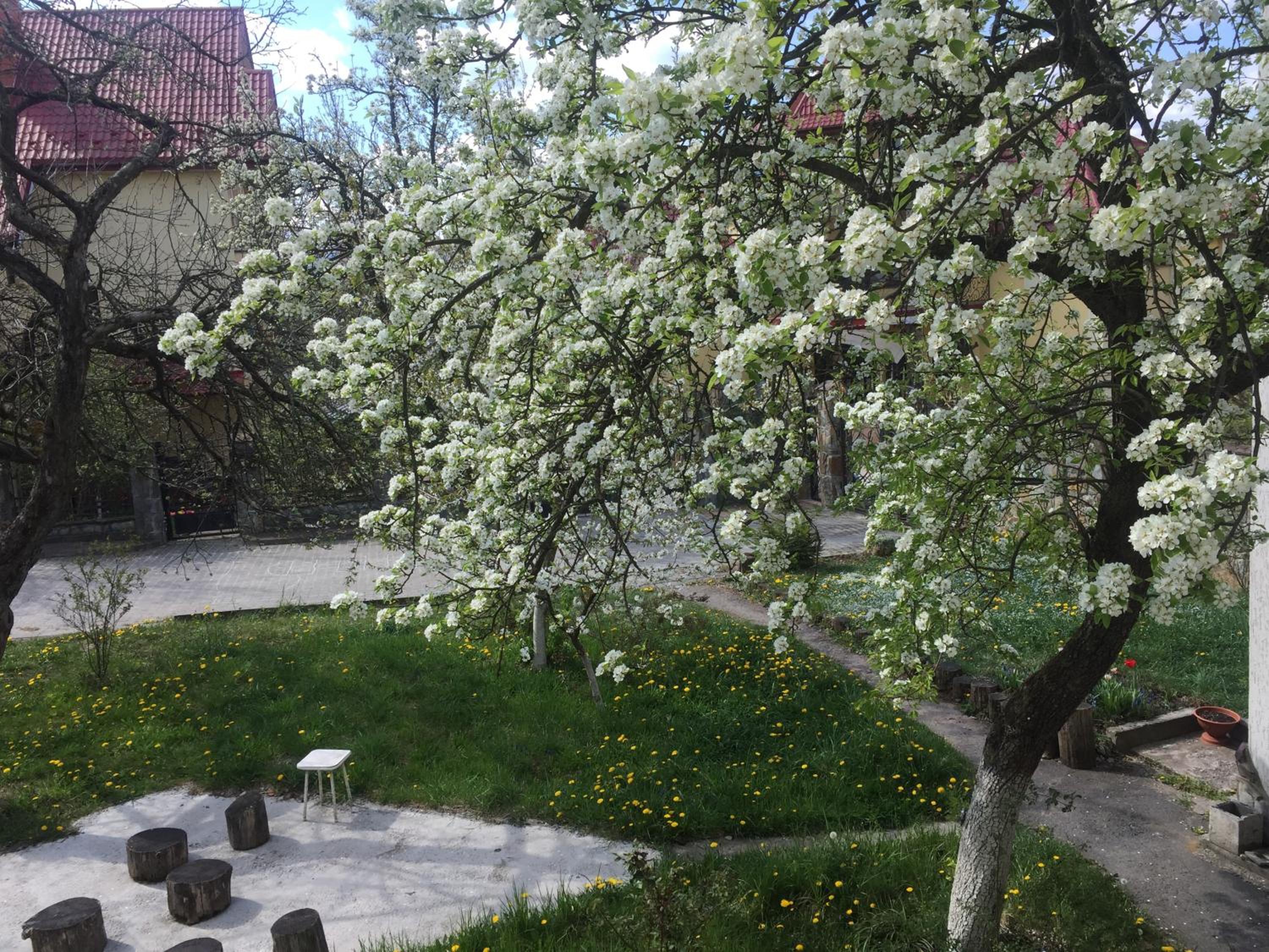 Photo 23