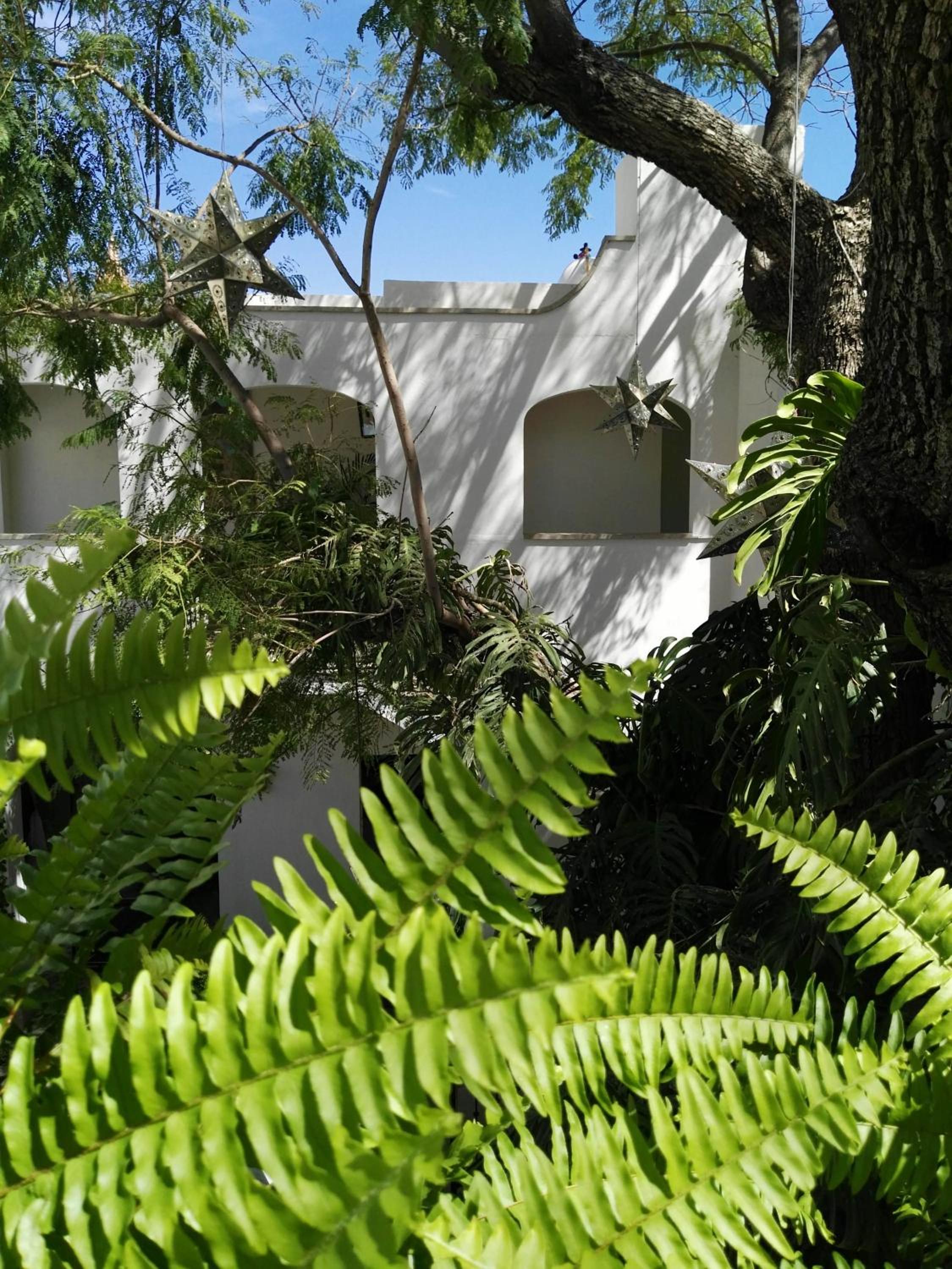 Photo 8