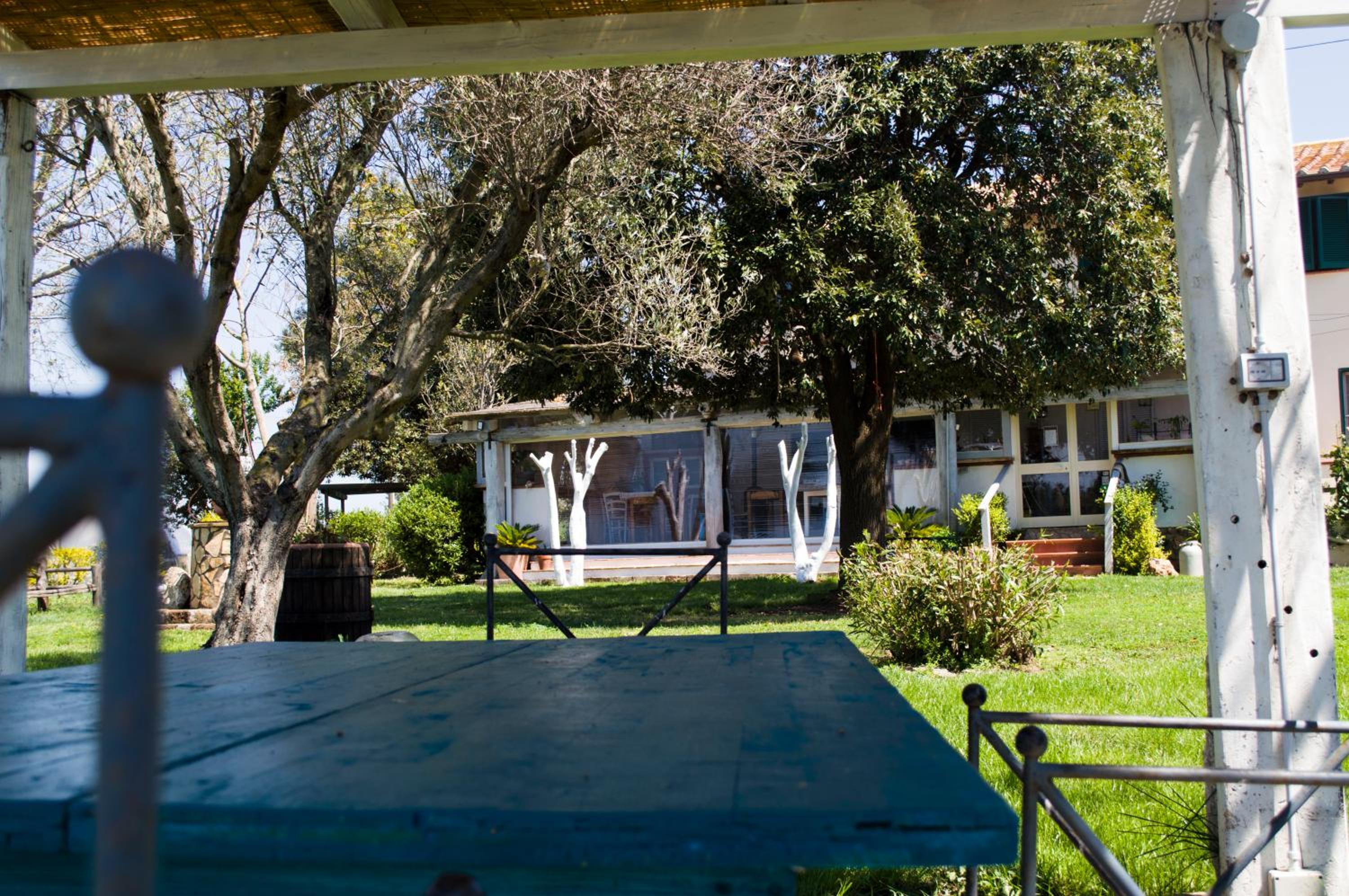 Photo 46
