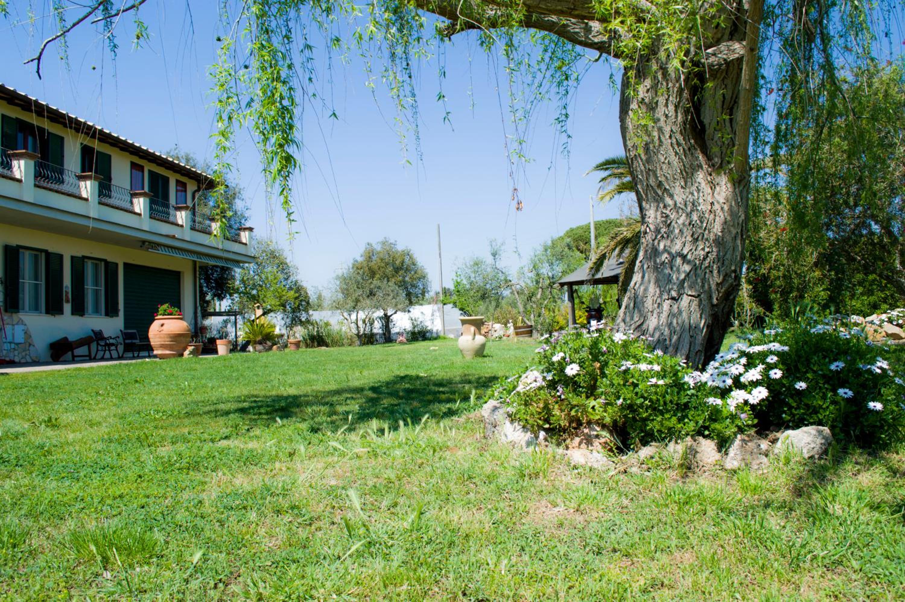 Photo 40