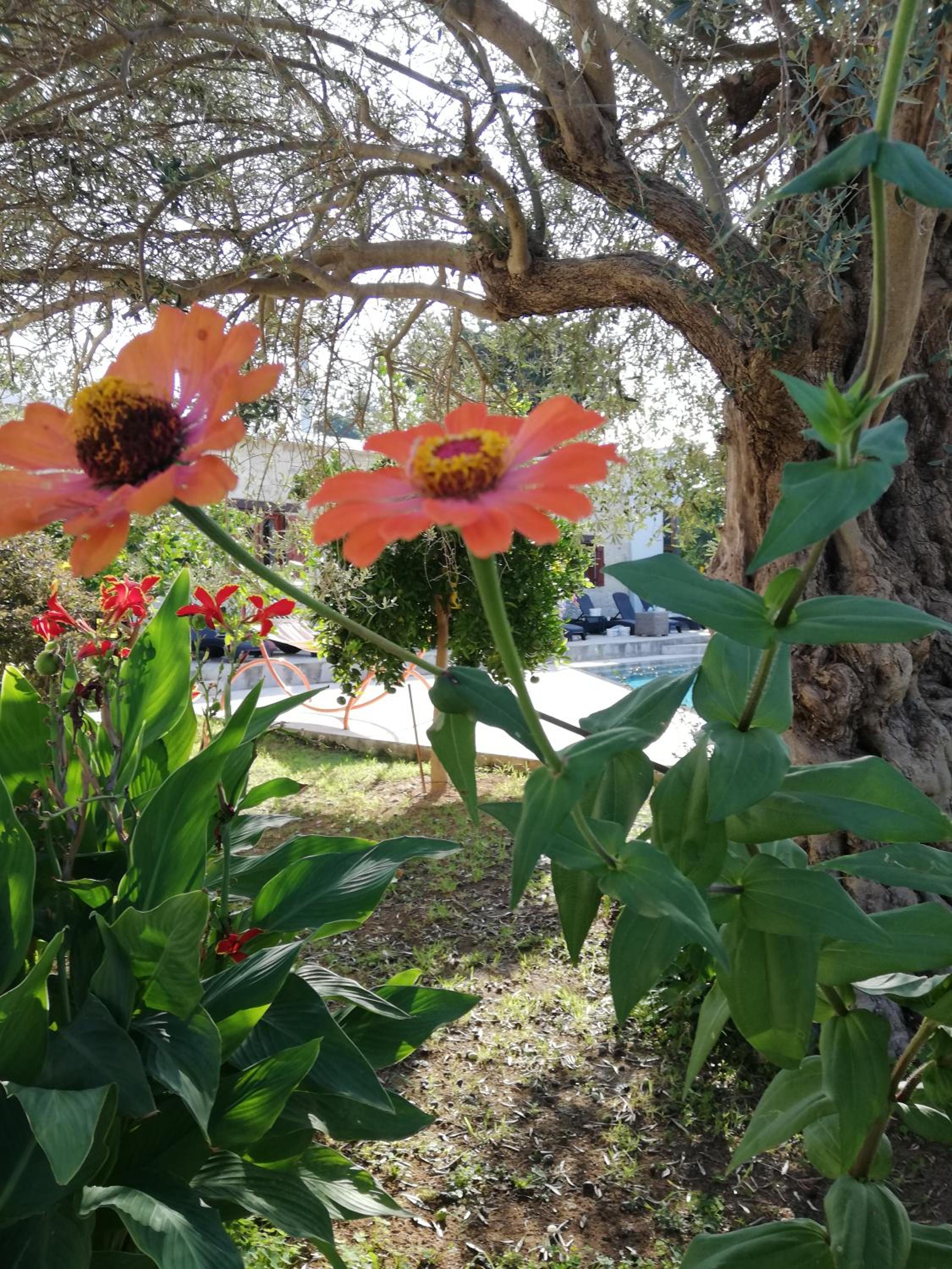 Kaizer Agrotourism - Property Image 53