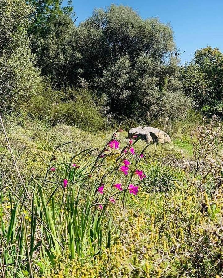 Kaizer Agrotourism - Property Image 18