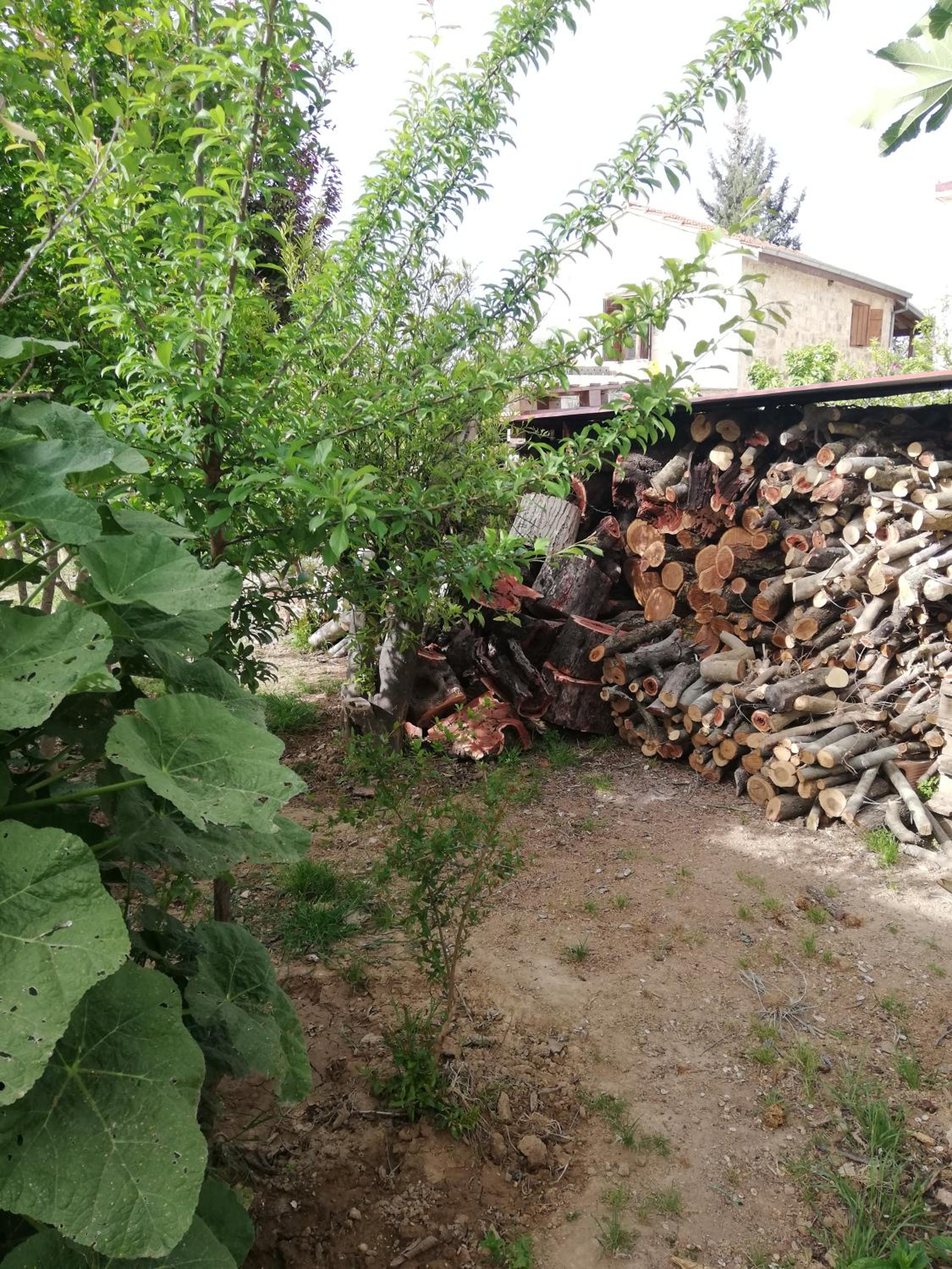 Kaizer Agrotourism - Property Image 52