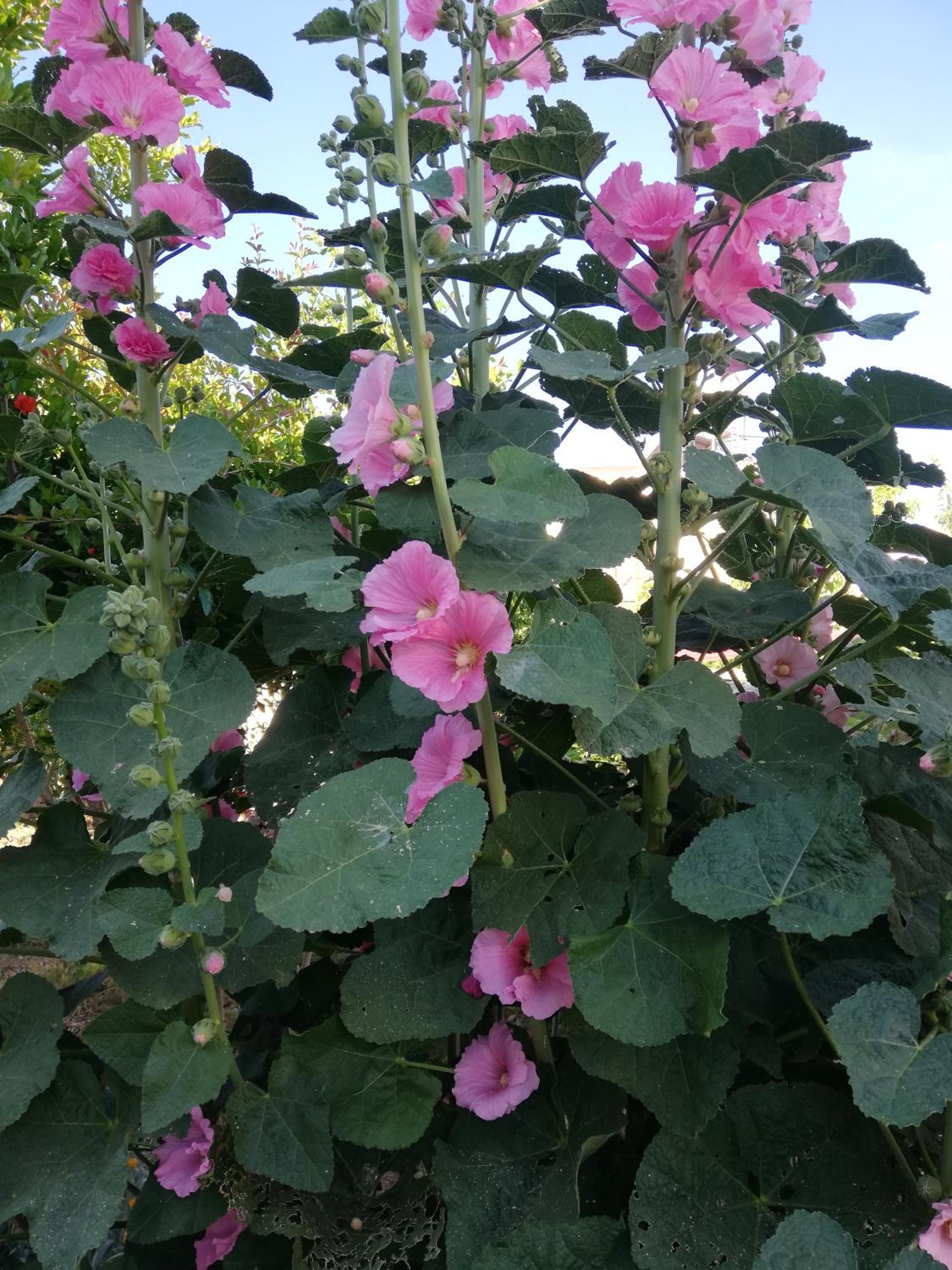 Kaizer Agrotourism - Property Image 19