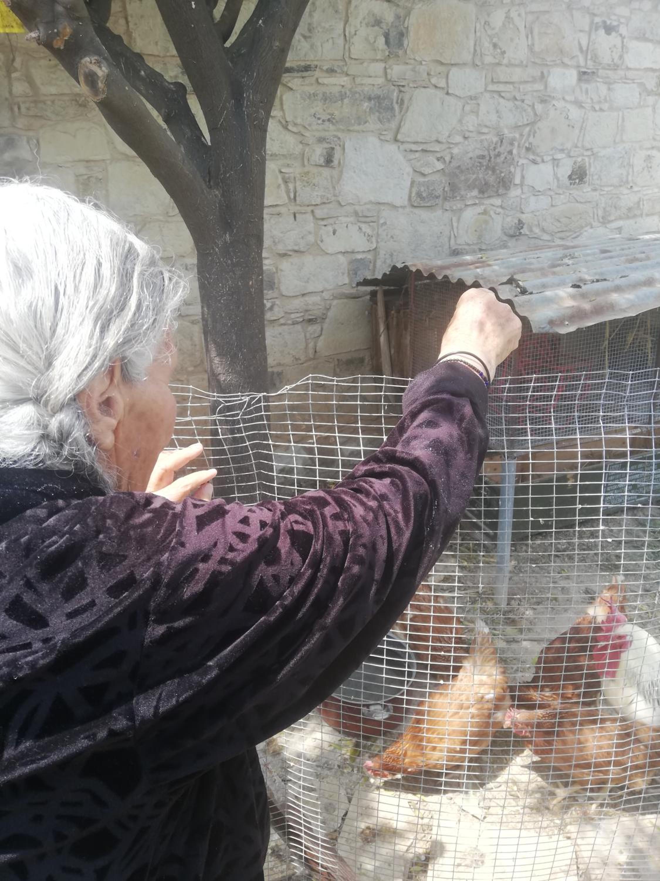 Kaizer Agrotourism - Property Image 50