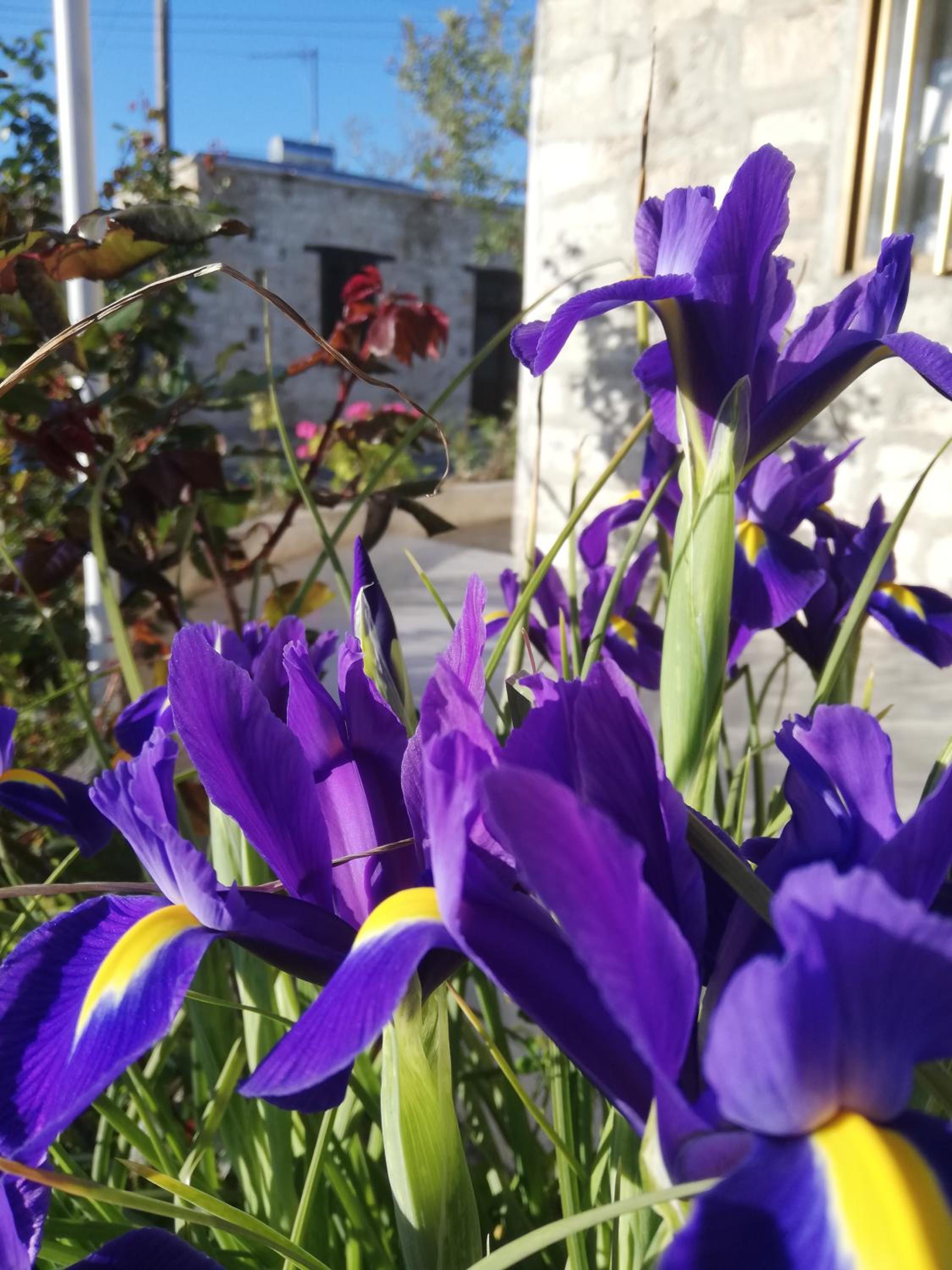 Kaizer Agrotourism - Property Image 25