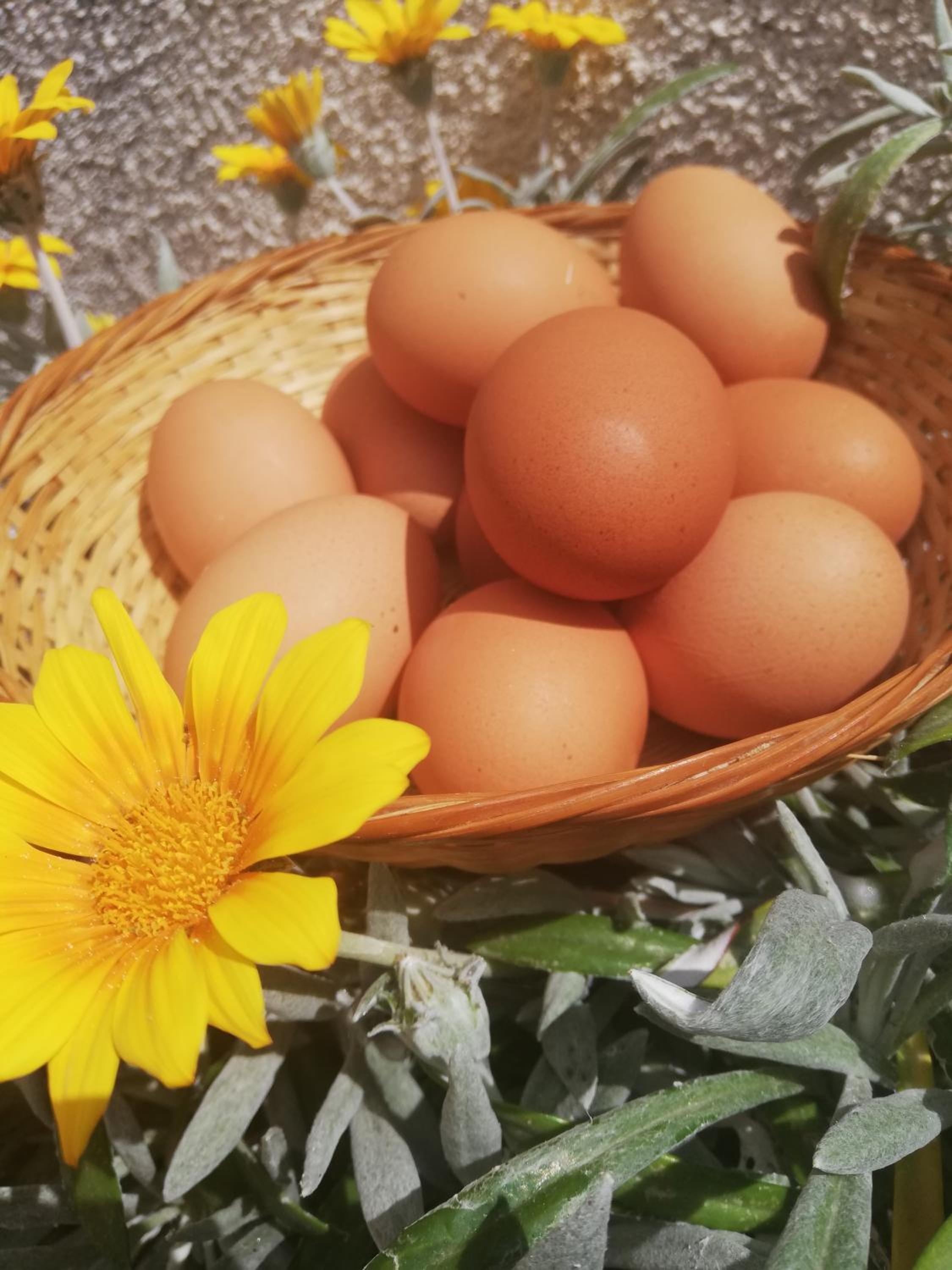 Kaizer Agrotourism - Property Image 47