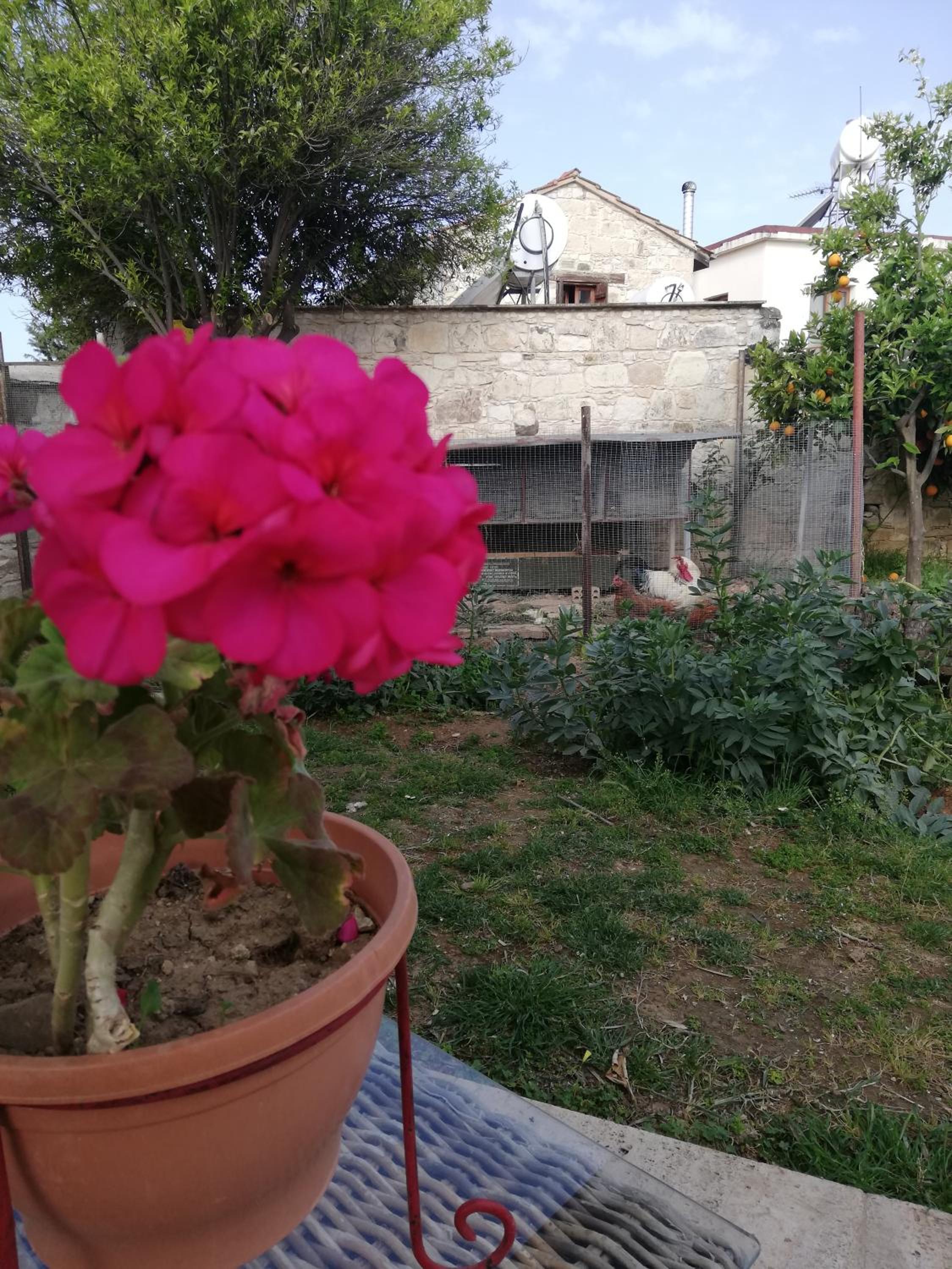 Kaizer Agrotourism - Property Image 21