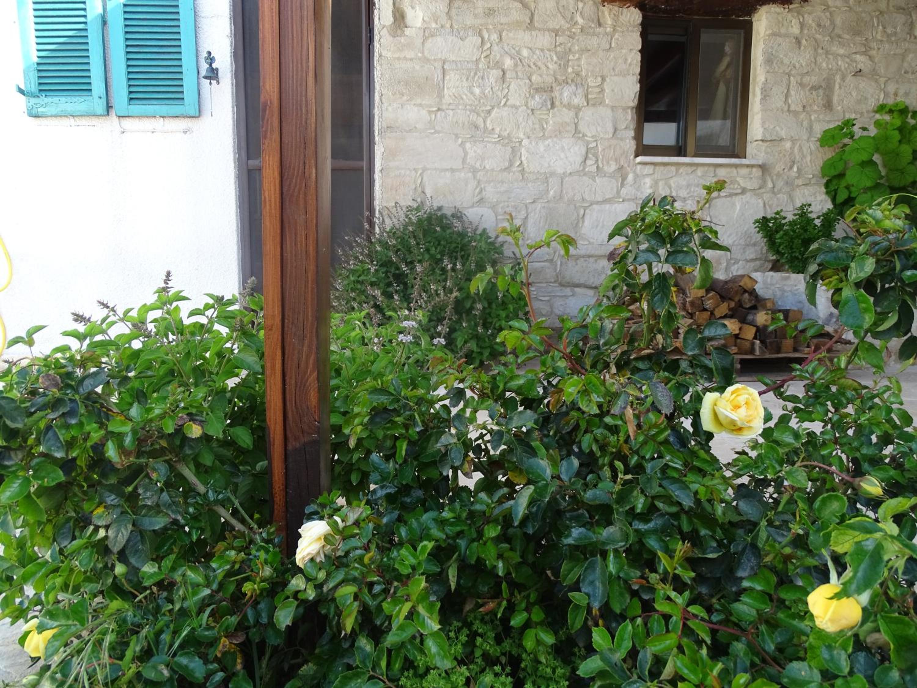 Kaizer Agrotourism - Property Image 4