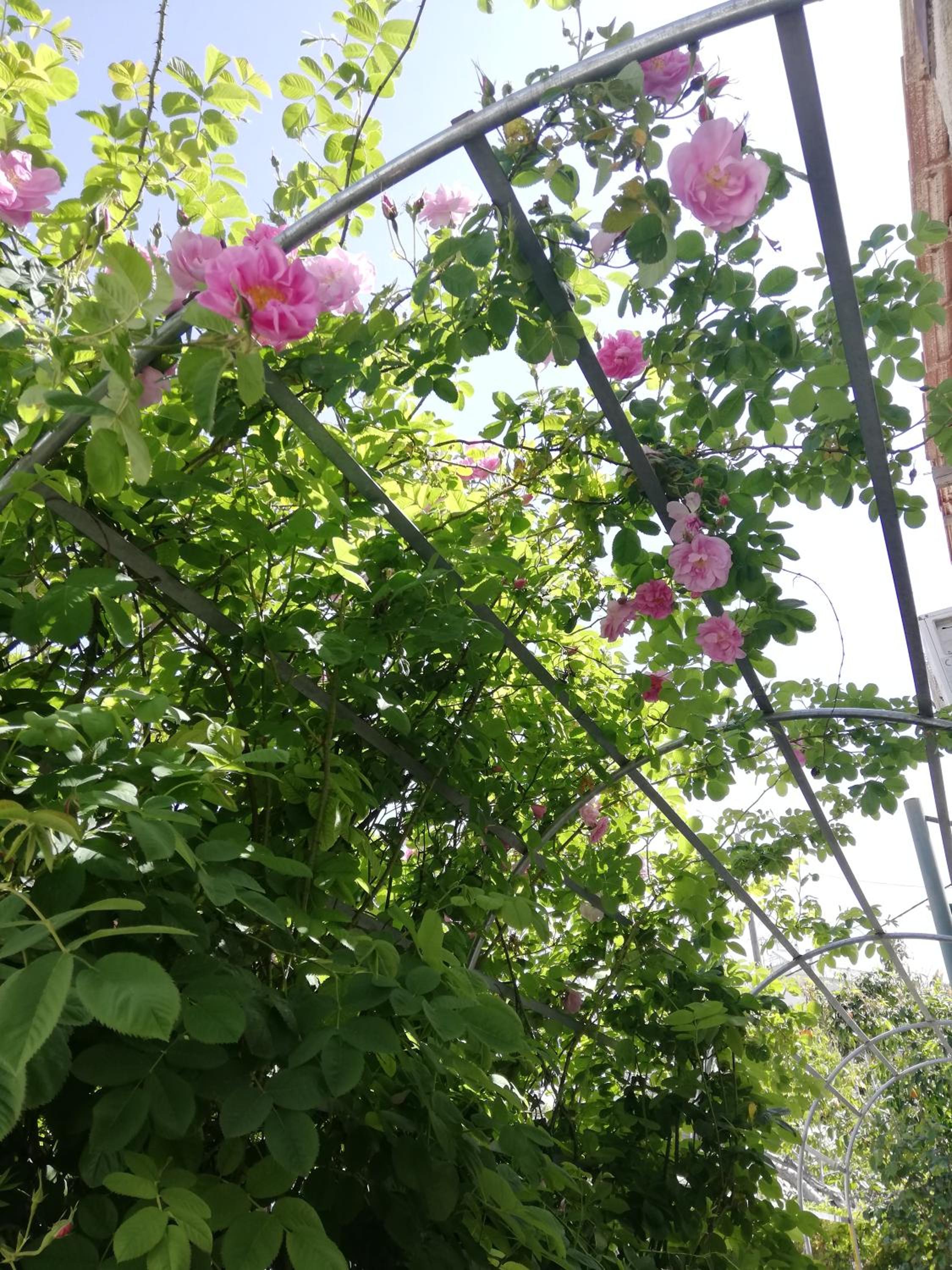 Kaizer Agrotourism - Property Image 28