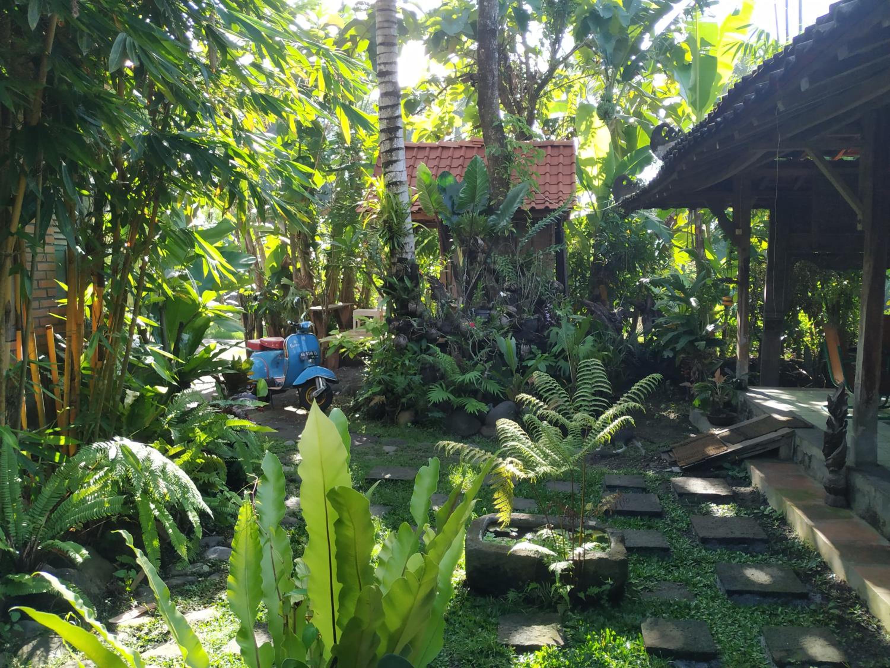 Omah minggir view 5