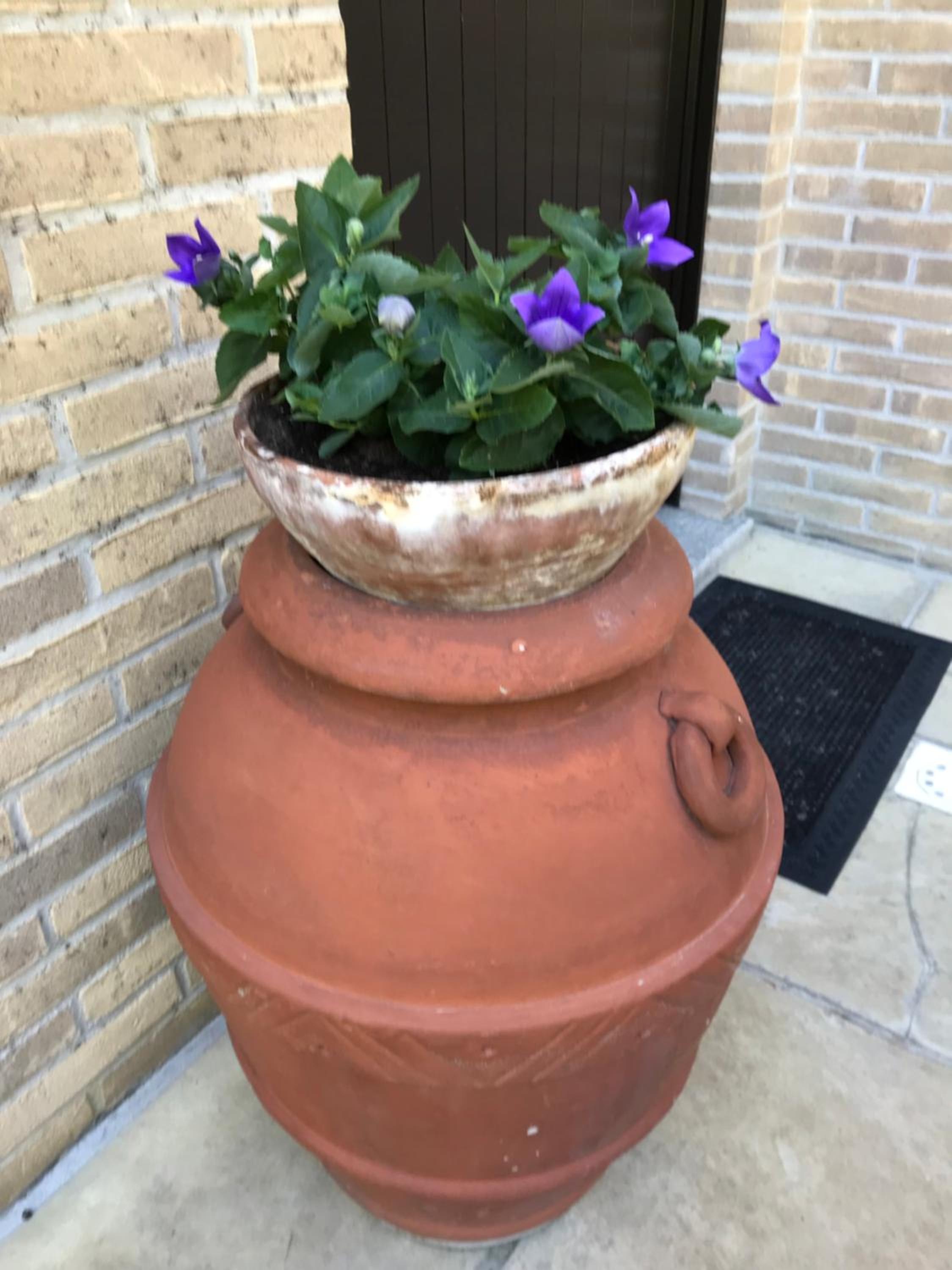 Photo 32